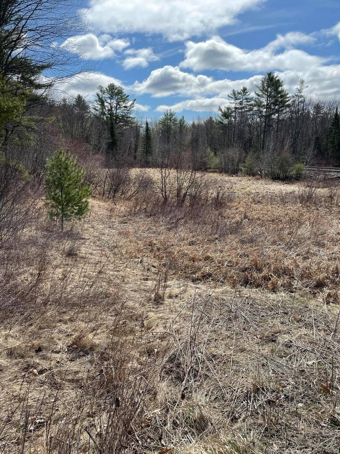 Readfield, ME 04355,00 Luce RD