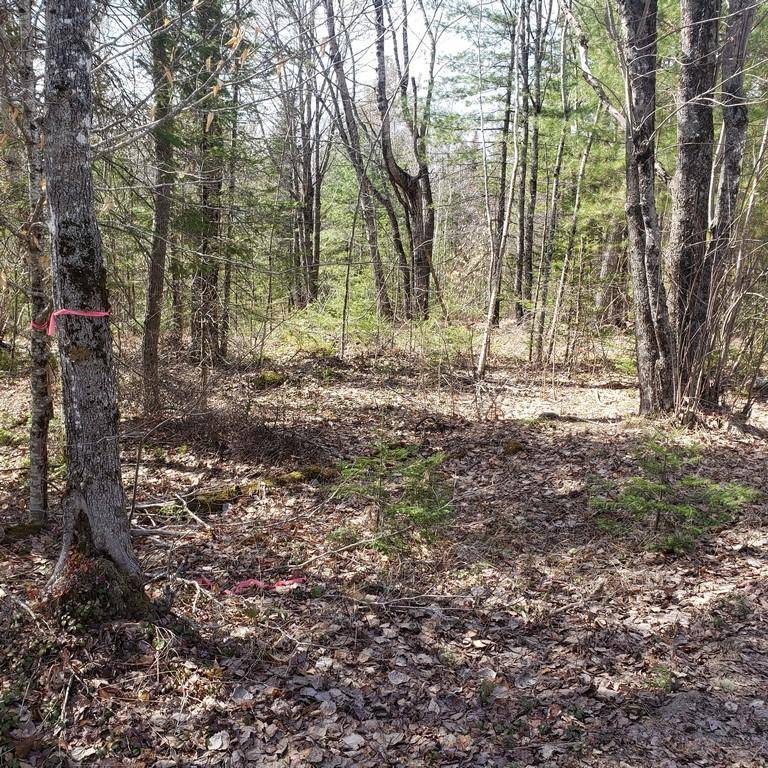 Greenbush, ME 04418,Lot 53-8 Cardville RD