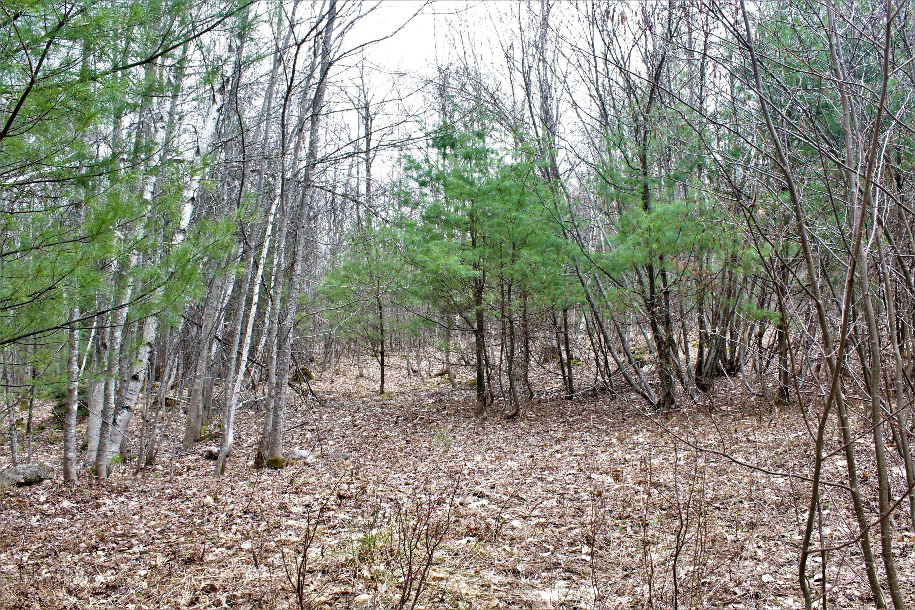 Fryeburg, ME 04037,0 Haleytown