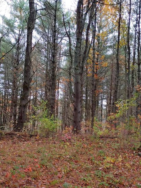 Winslow, ME 04901,70-1 Pickerel Point RD