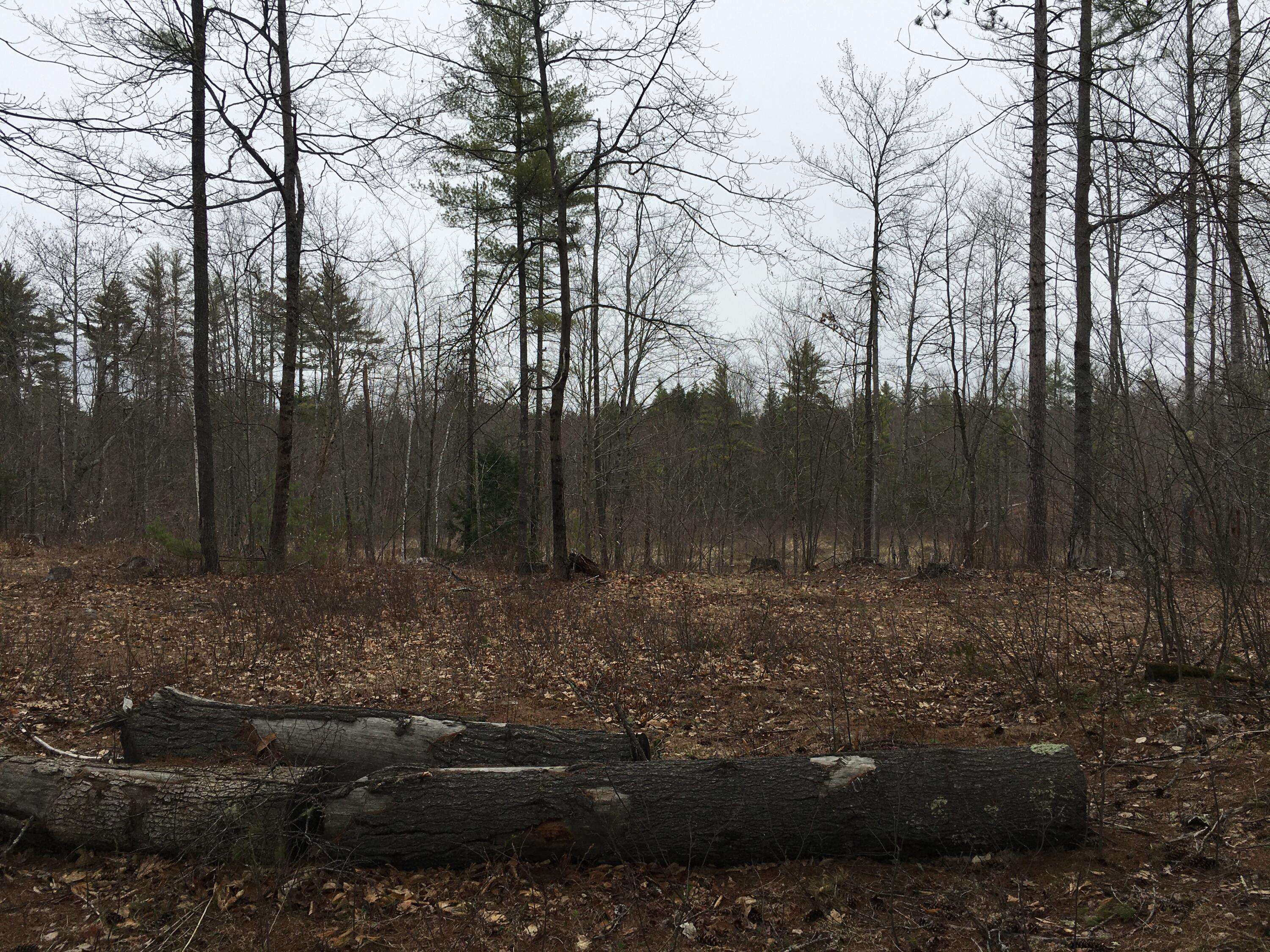 Newfield, ME 04095,0 0 Spring, Benson Road RD