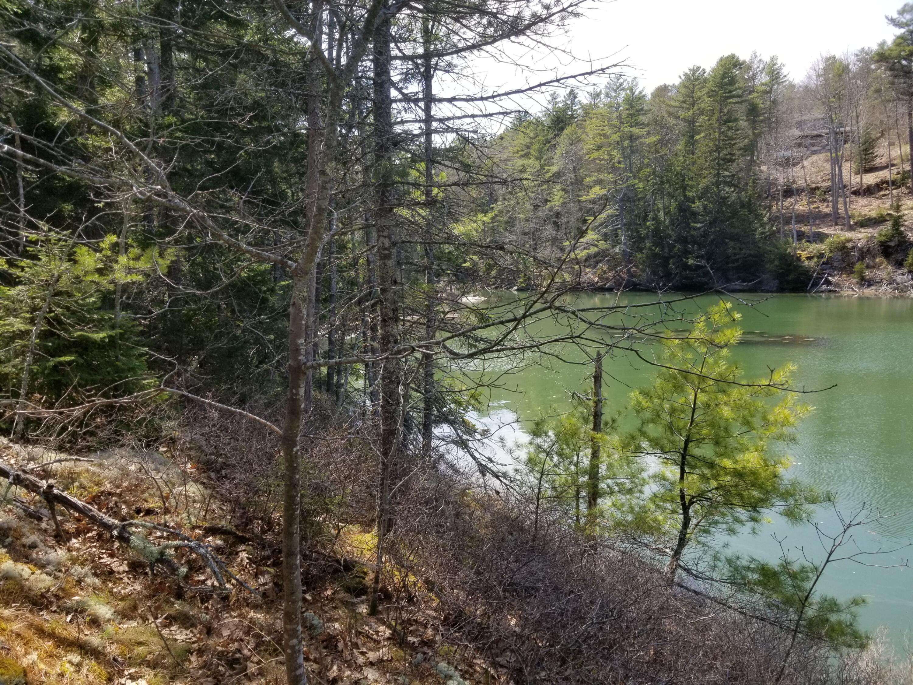 Westport Island, ME 04578,0 Sortwell RD