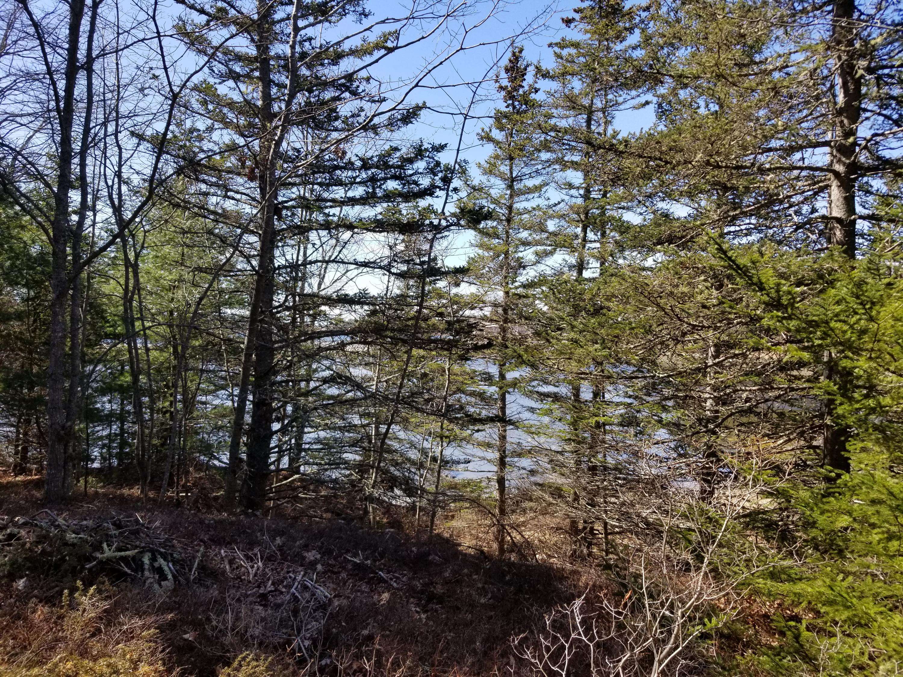 Brooklin, ME 04616,9 River RD #Lot 3