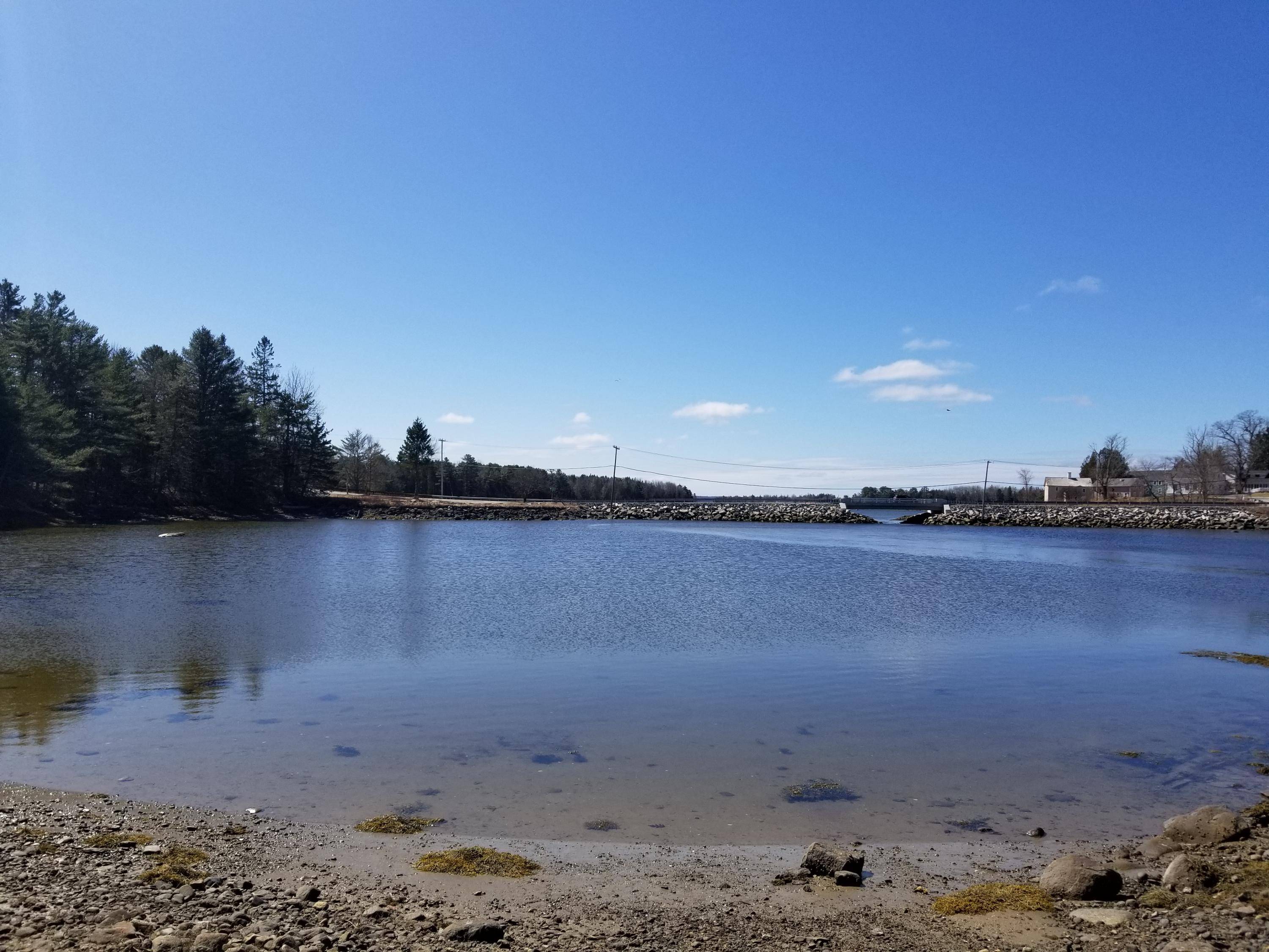 Brooklin, ME 04616,9 River RD #Lot 6