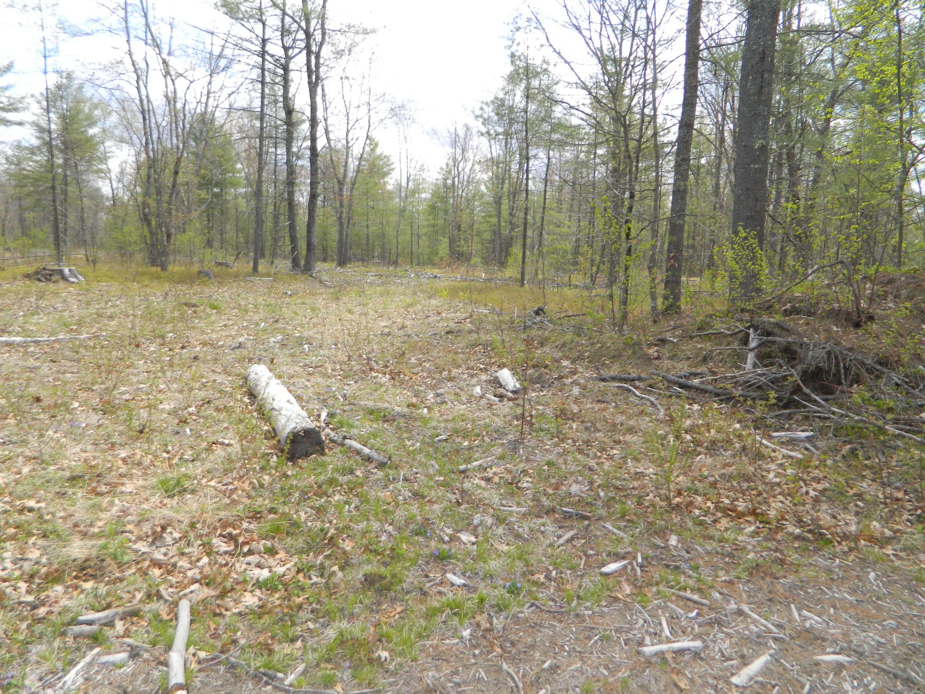 Lyman, ME 04002,0 Old North Berwick RD