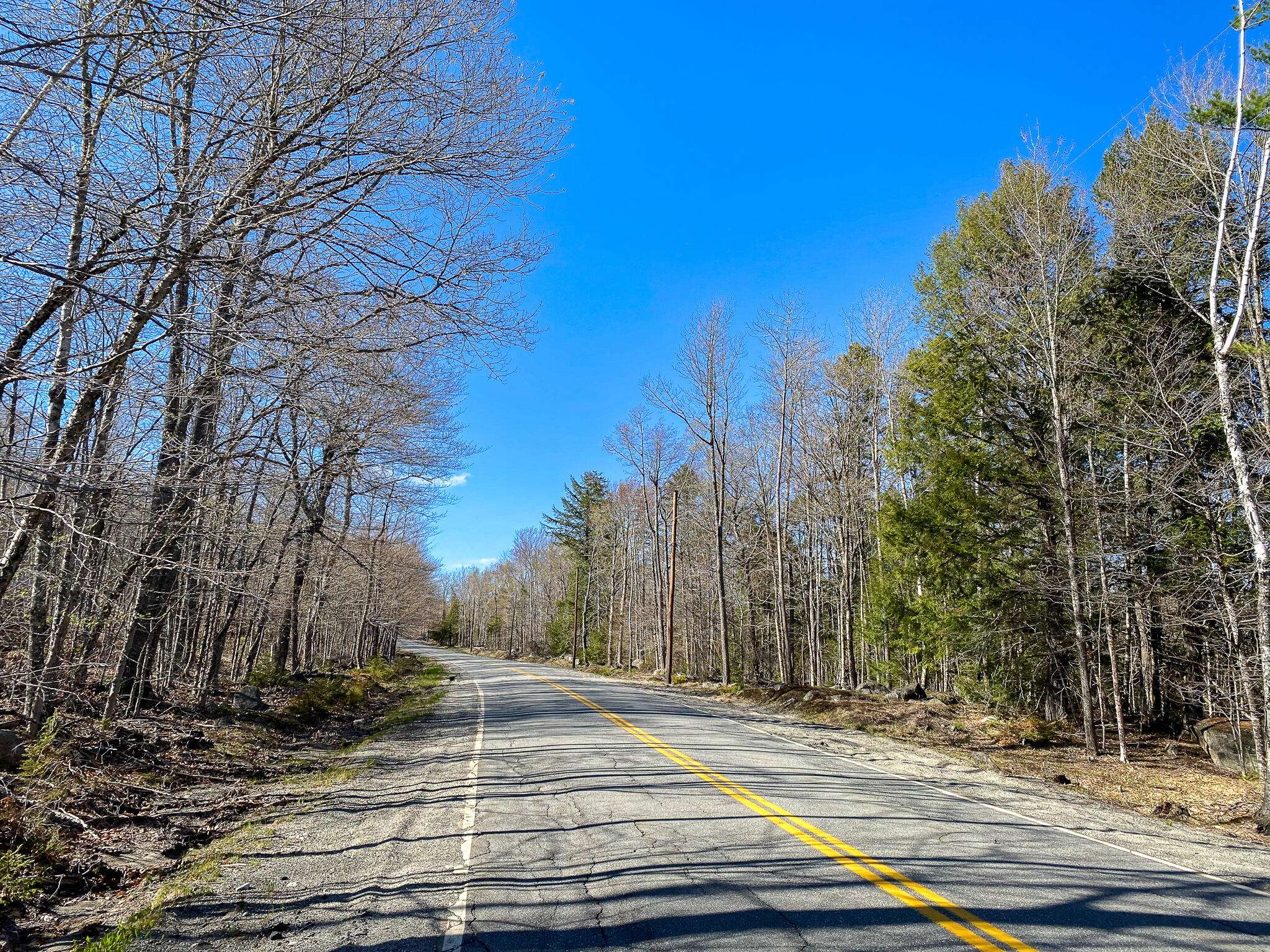 Otis, ME 04605,1510 Otis RD