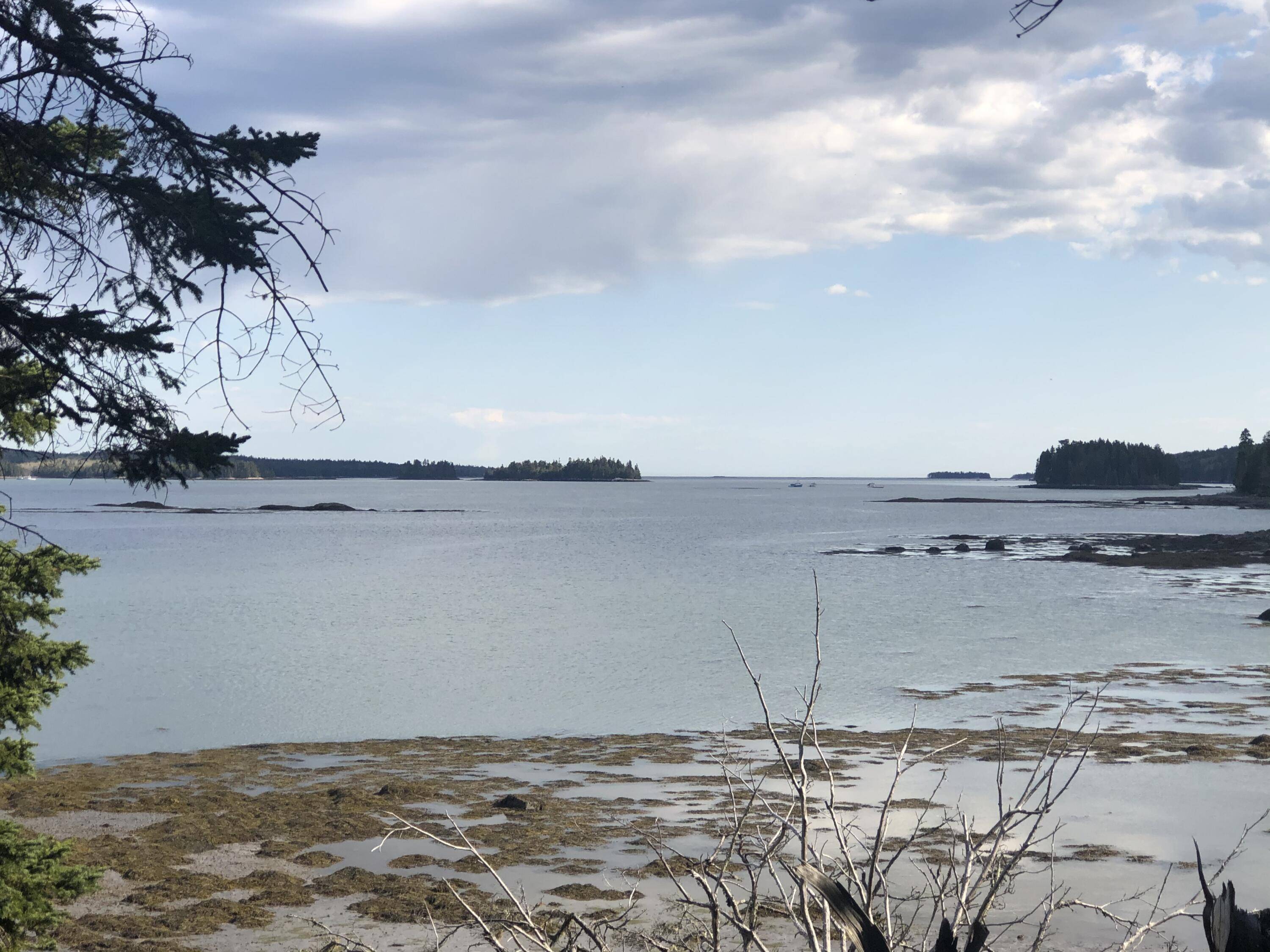 Steuben, ME 04680,10 Black Bear Trail