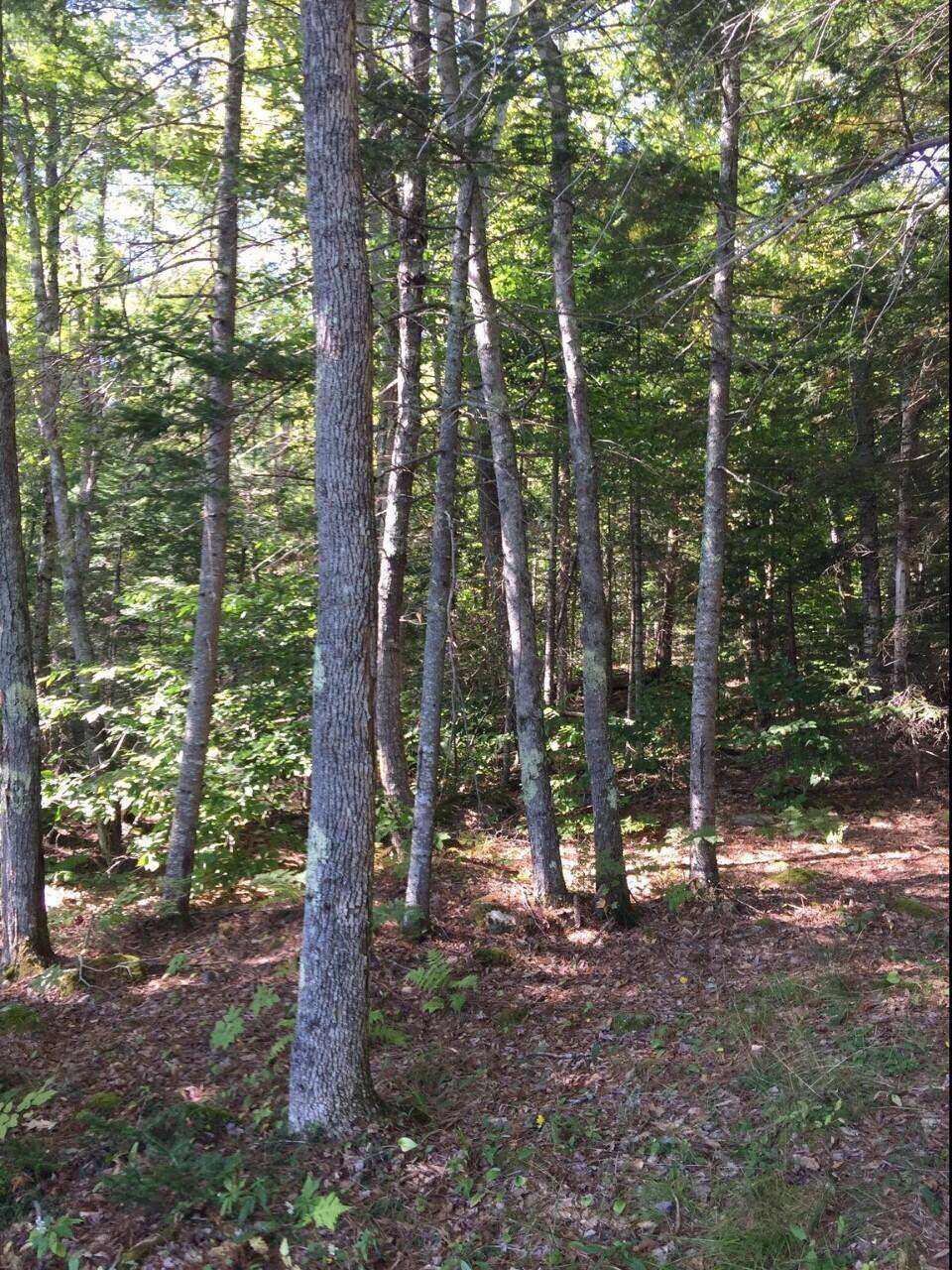 Searsport, ME 04974,0 Campground Map3 lts 67&68 RD