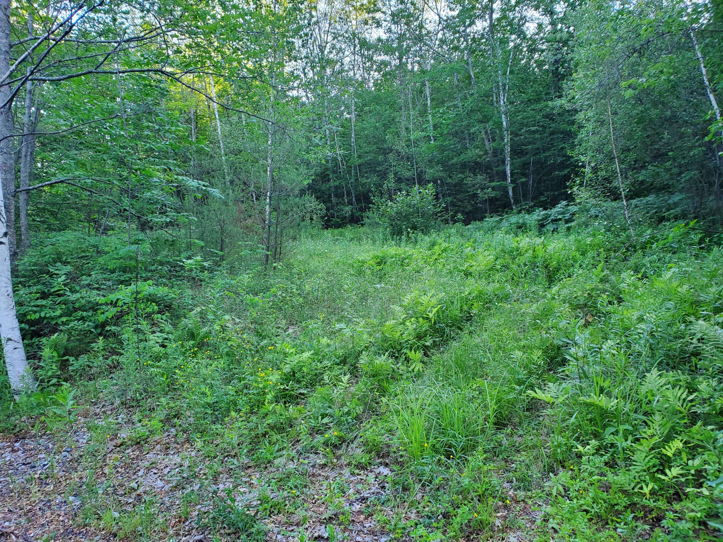 Stoneham, ME 04231,951 Maine ST