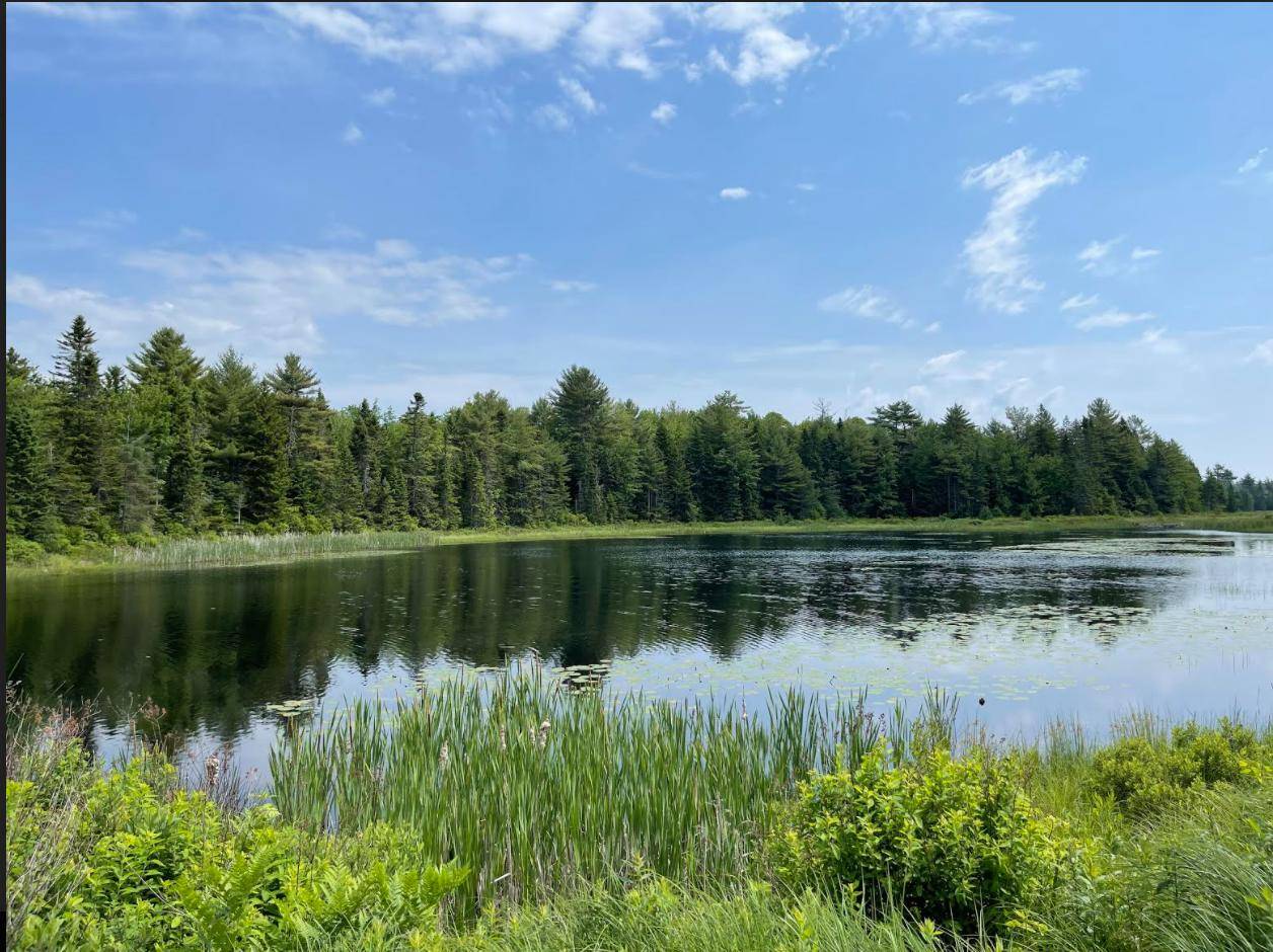 Steuben, ME 04680,556 US Route 1