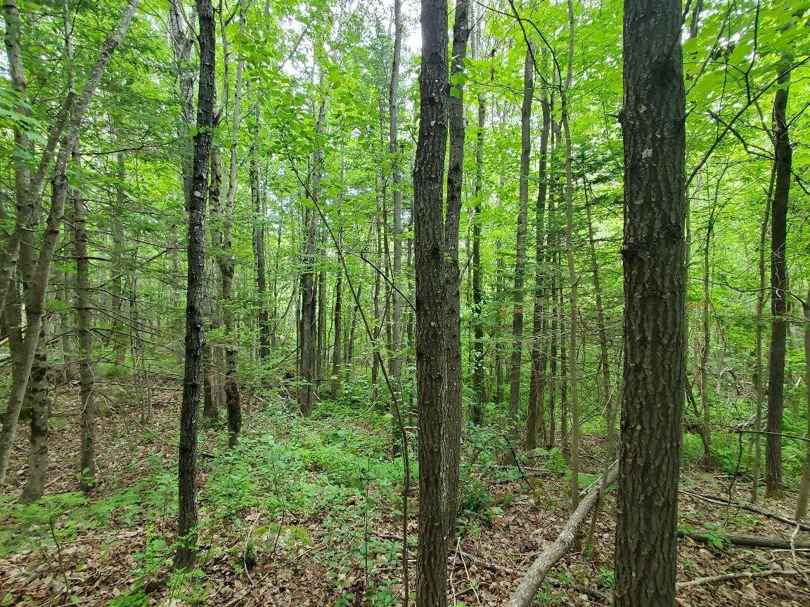 Farmington, ME 04938,464 Porter Hill RD