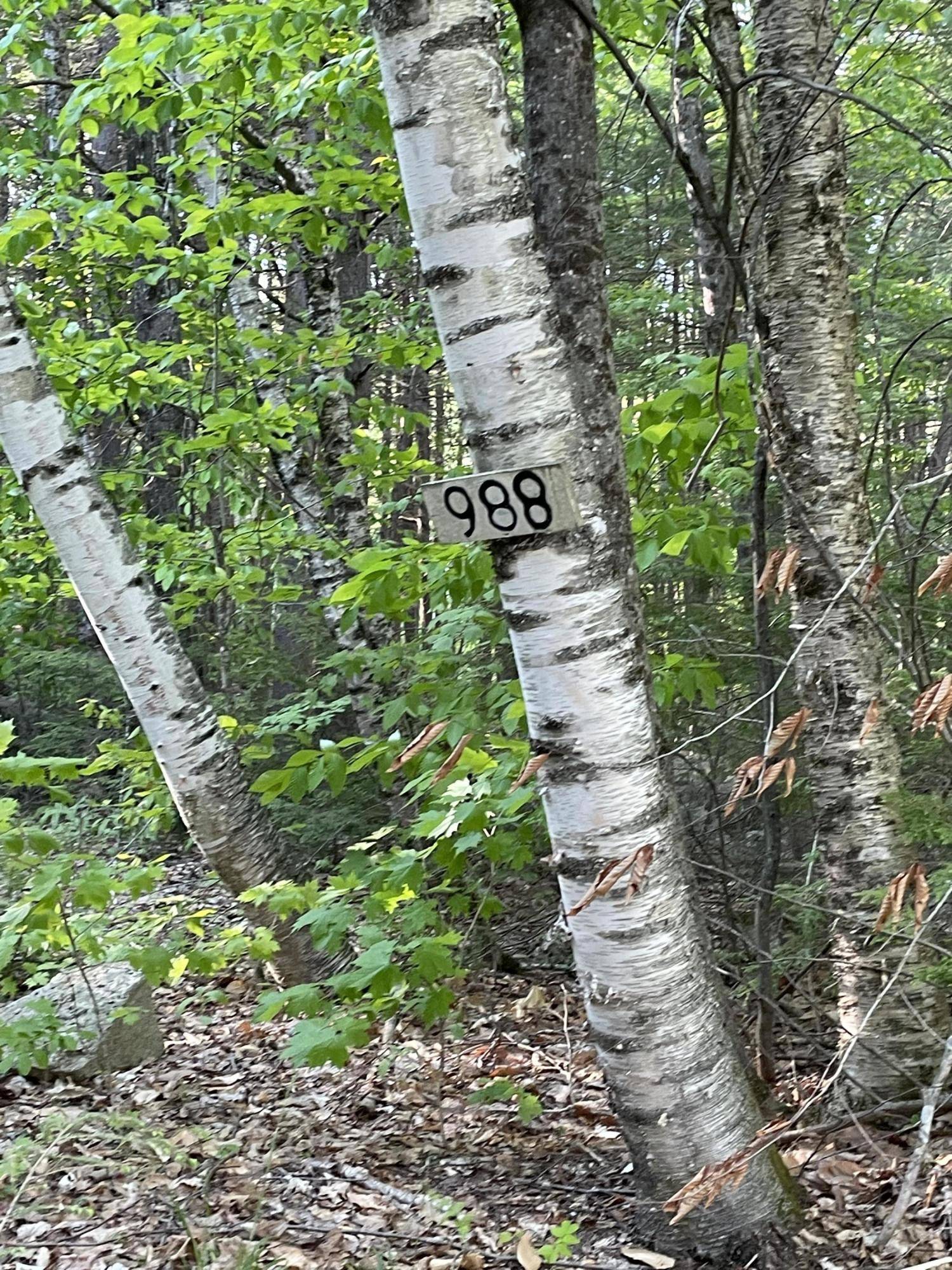 Sebago, ME 04029,988 Peabody Pond RD