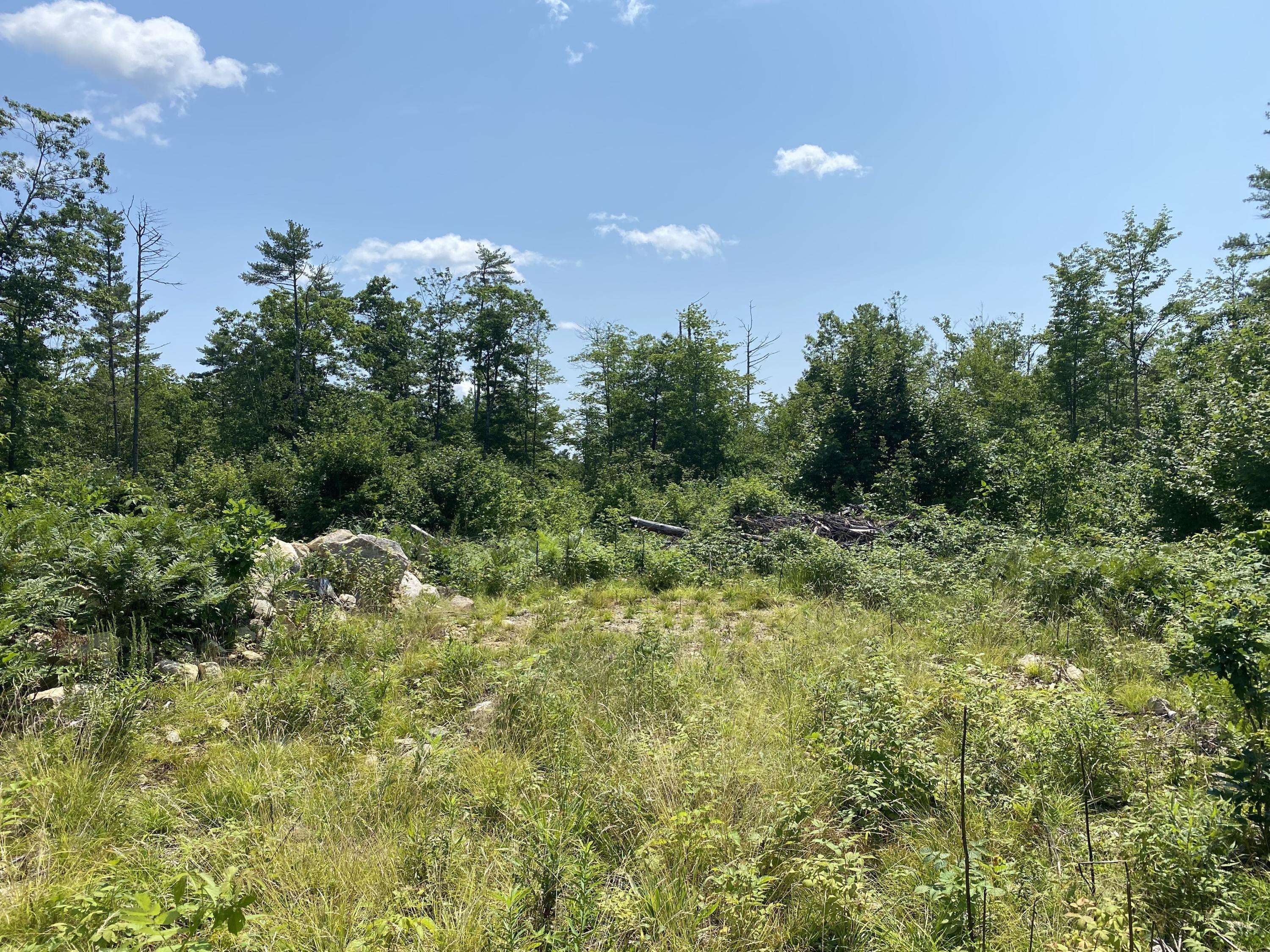 Casco, ME 04015,Map 2 Lot 32 Libby RD