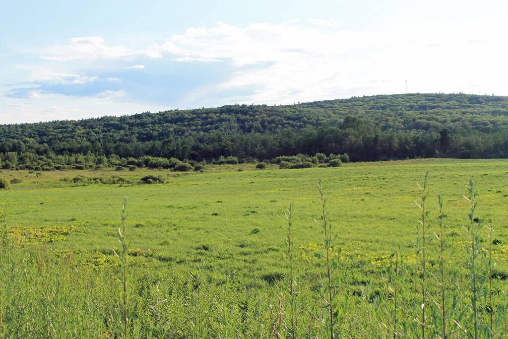 Smithfield, ME 04978,1-P Groves Flat LN