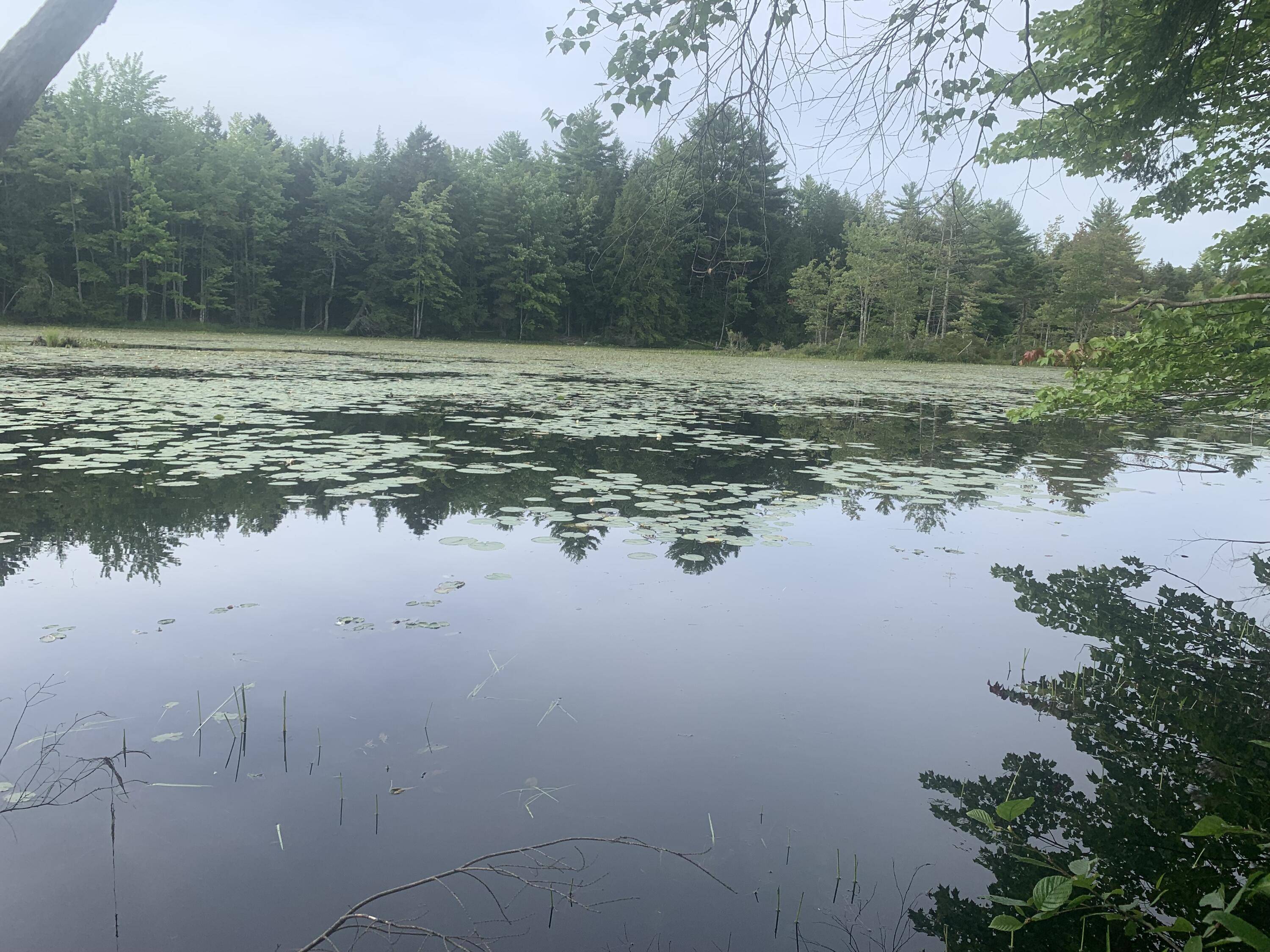 Limerick, ME 04048,TBD Beaver Brook RD