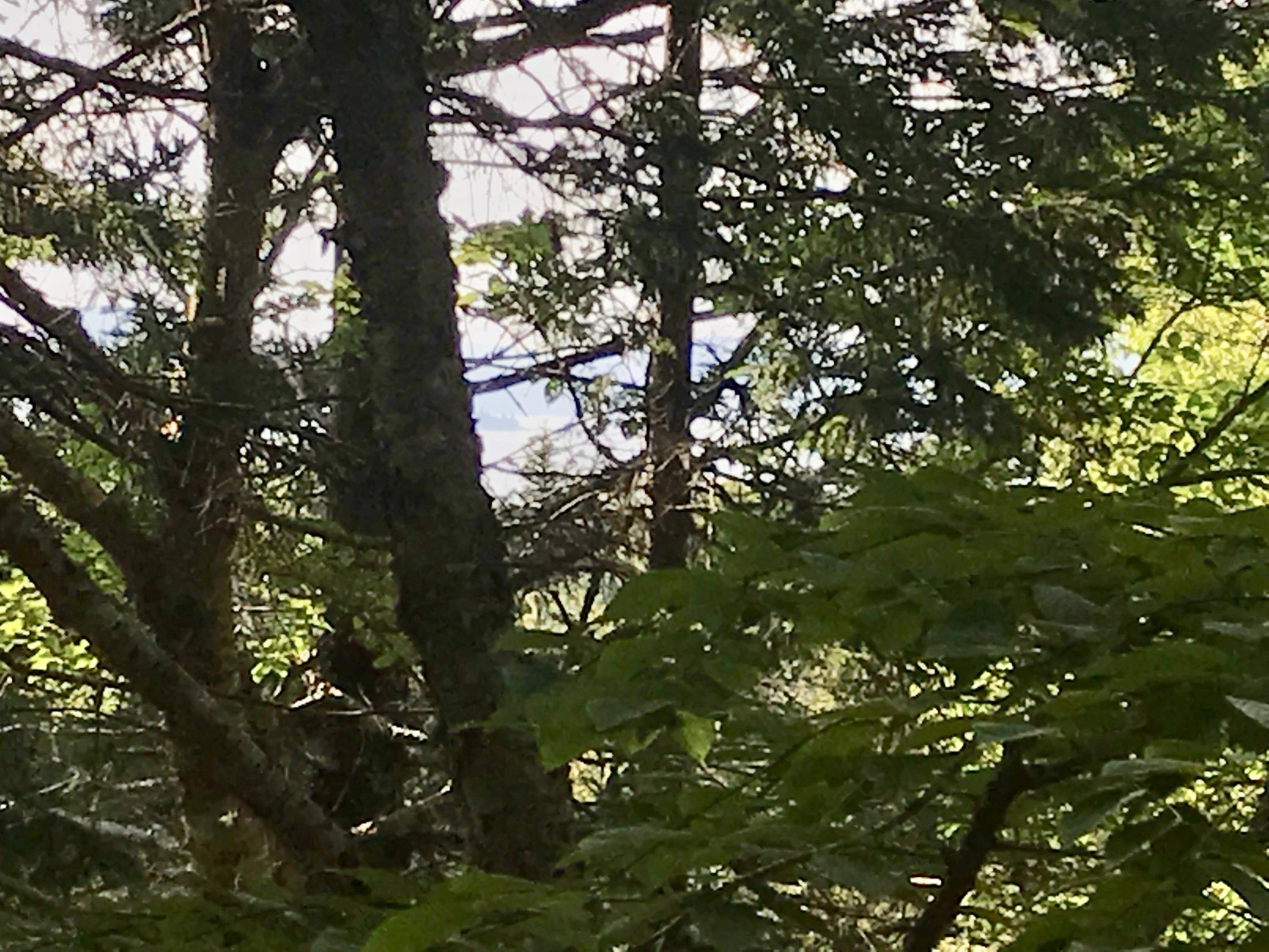 North Haven, ME 04853,# W District RD