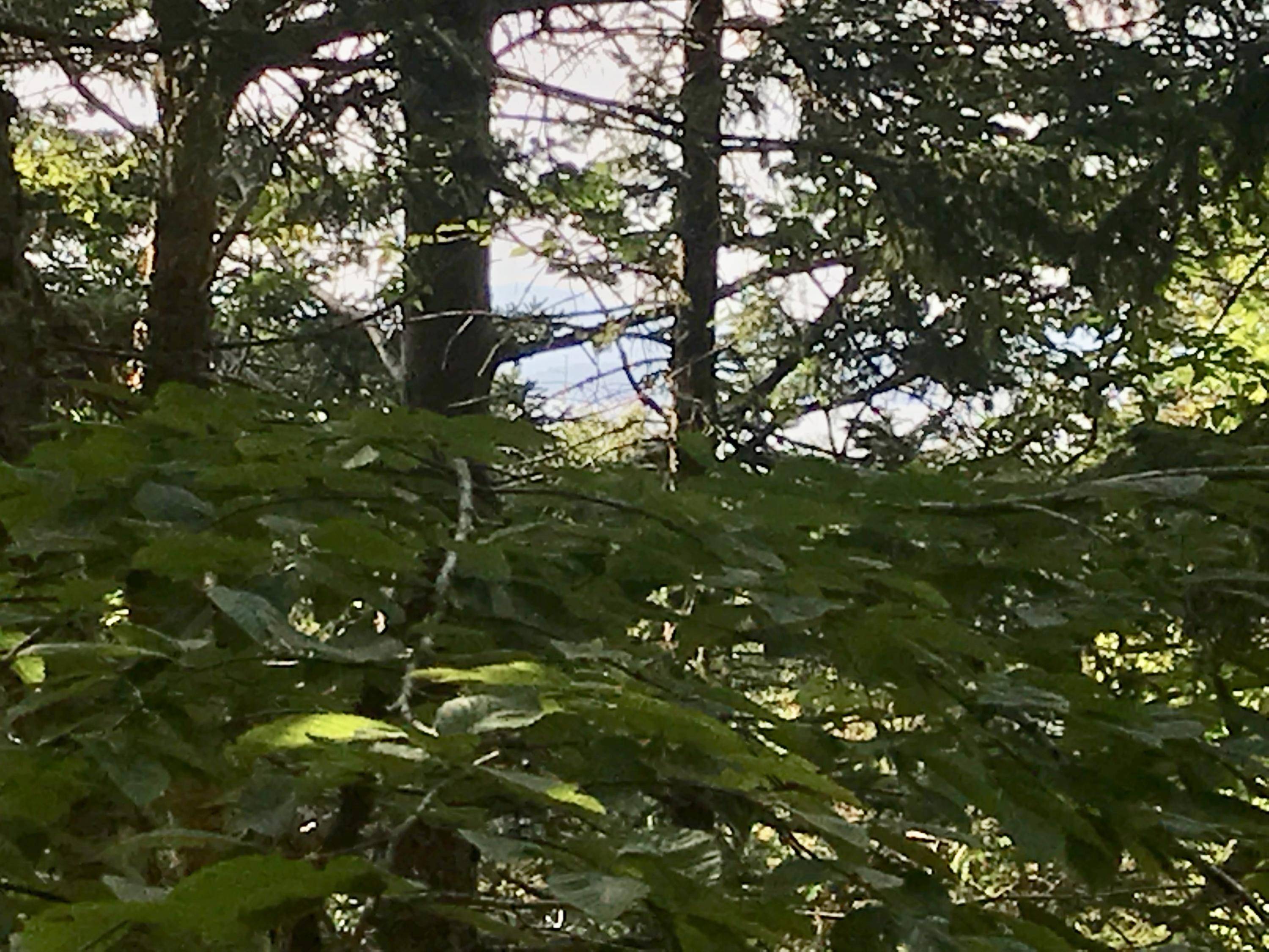 North Haven, ME 04853,# W District RD