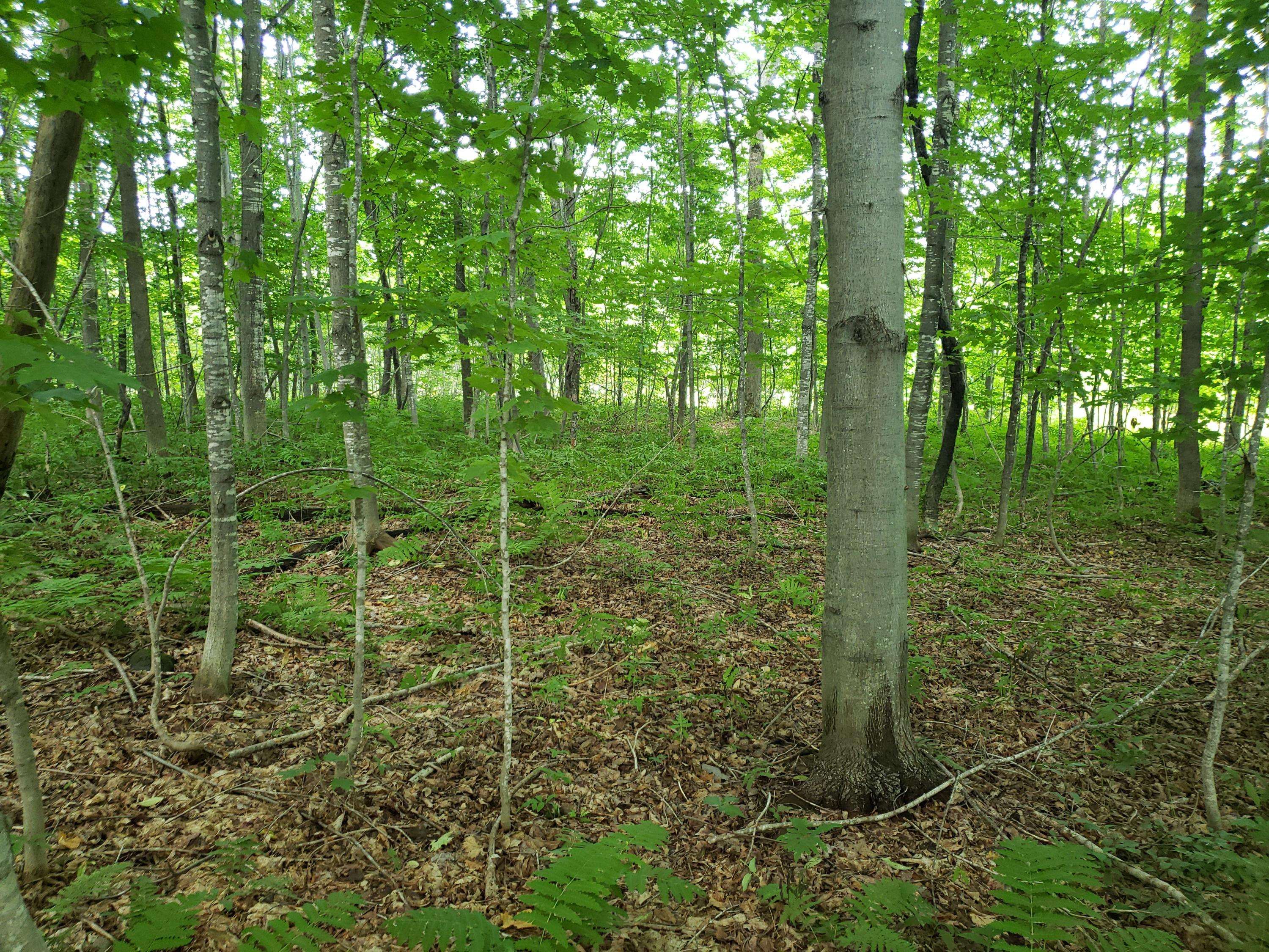 Farmington, ME 04938,TBD Fairbanks RD