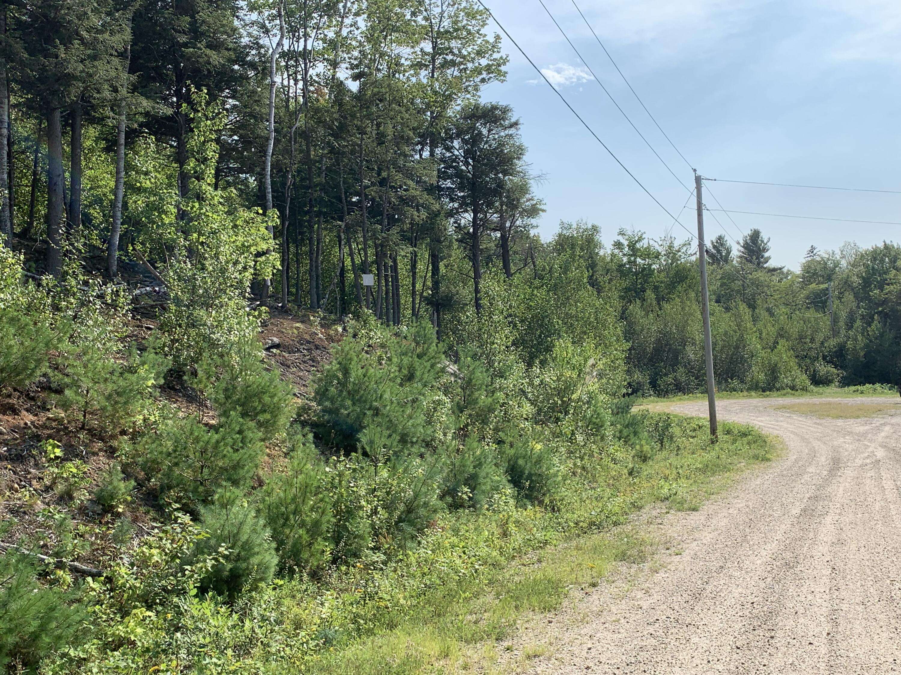 Bethel, ME 04217,Lot 17 Thunder Snow RD