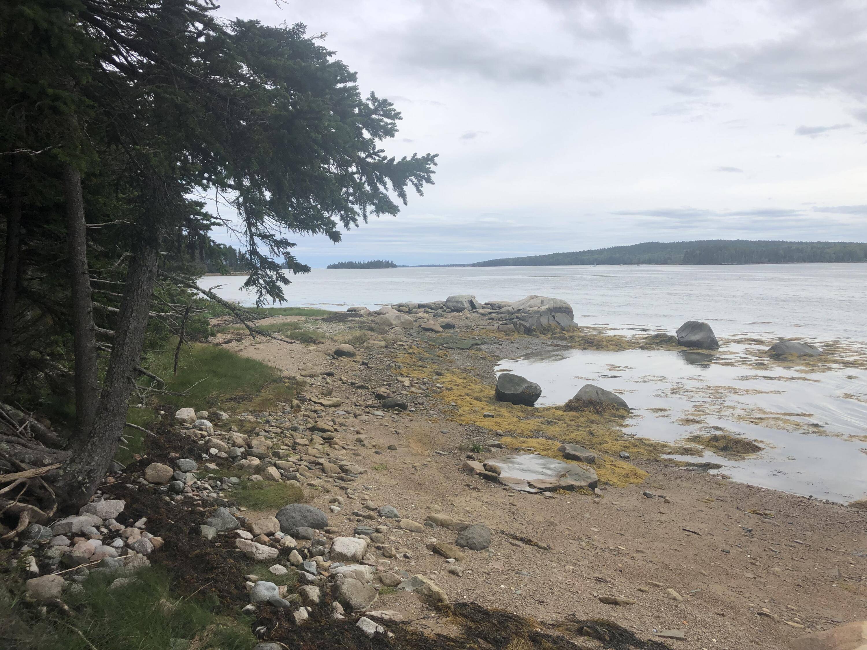 Steuben, ME 04680,17 Missy WAY