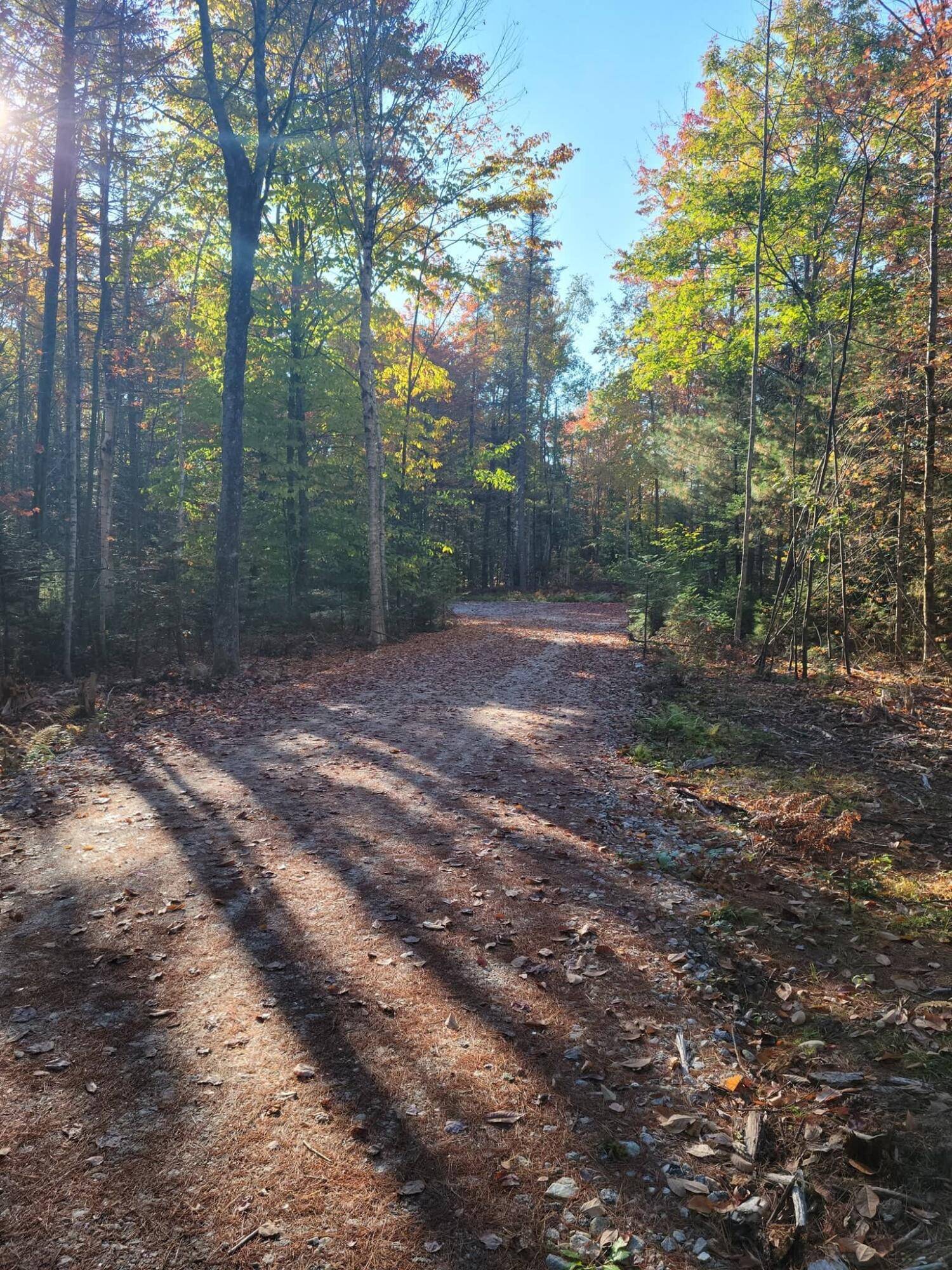 Harrison, ME 04040,Map36Lot5B Dawes Hill RD