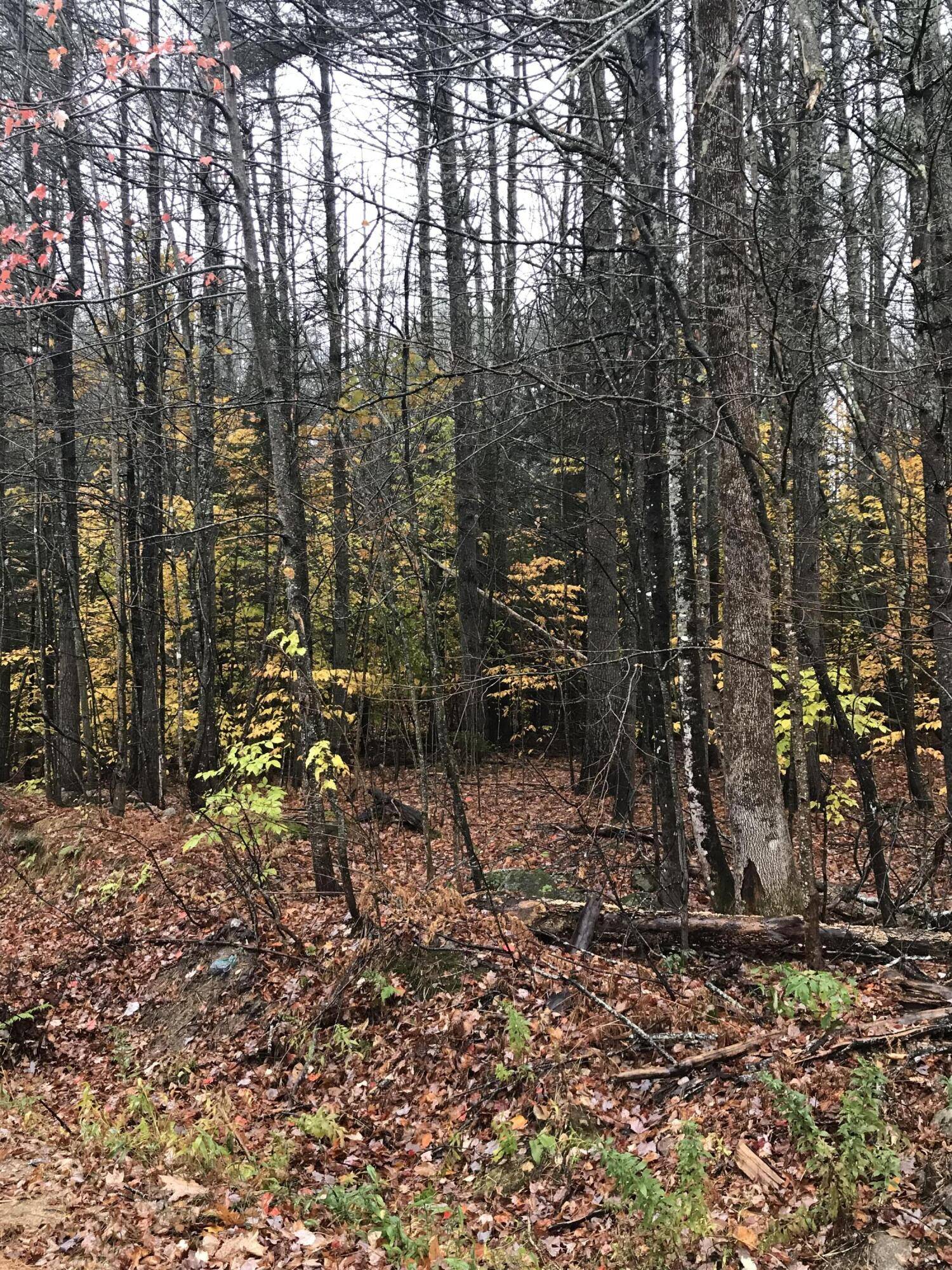 Harrison, ME 04040,1 Upton RD