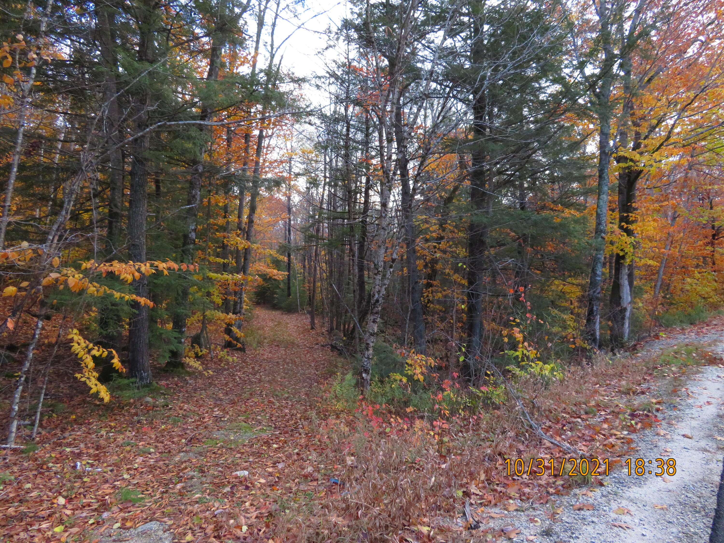 Harrison, ME 04040,0 Maple Ridge RD