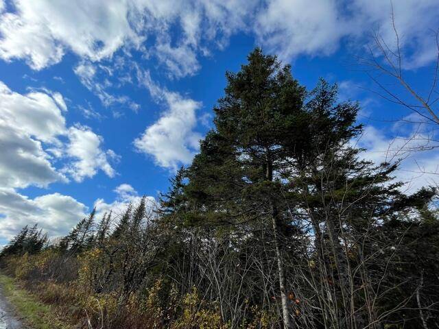 Perry, ME 04667,Lot 15 Mahar LN