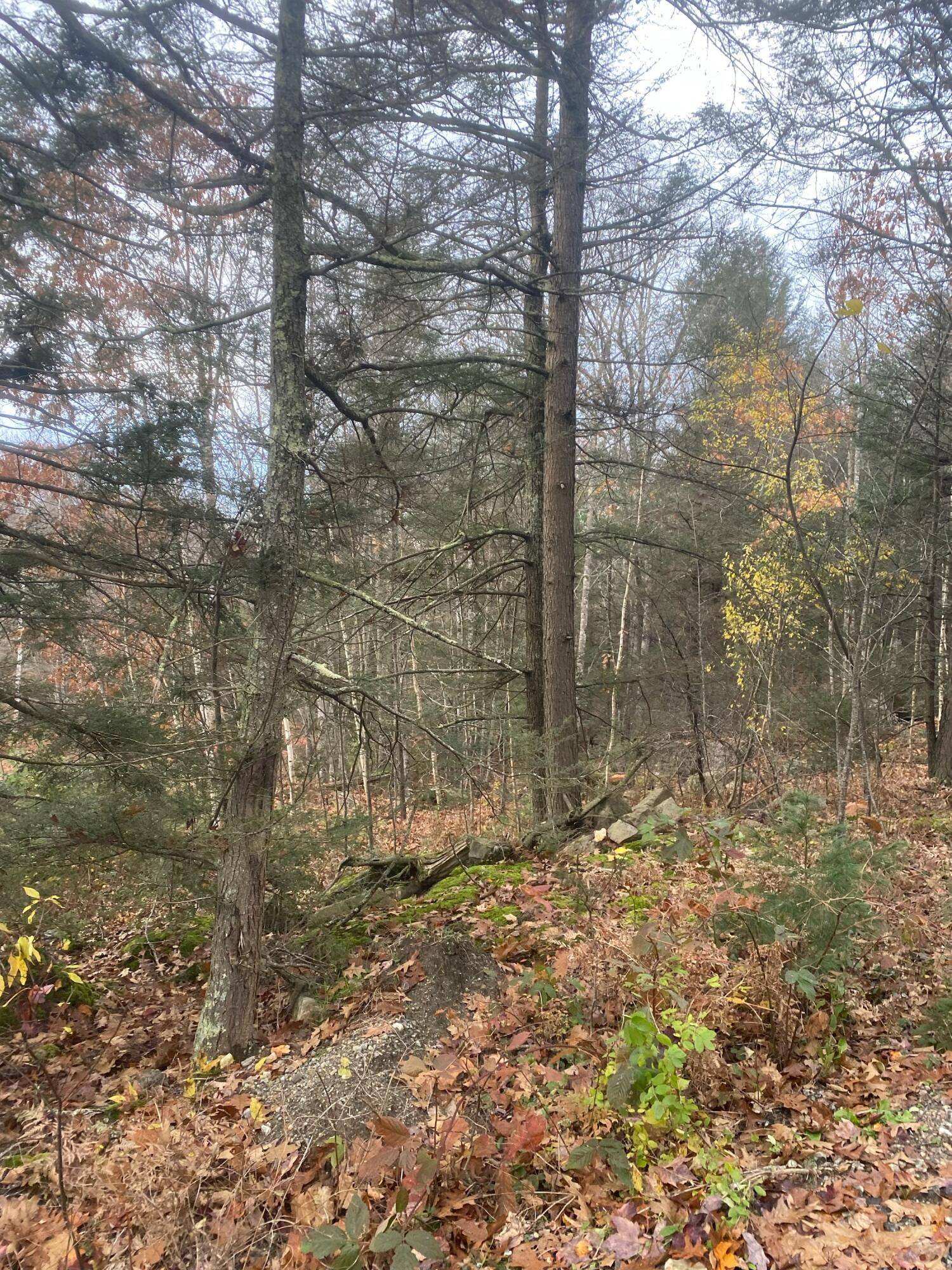 Woolwich, ME 04579,0 Stagecoach RD