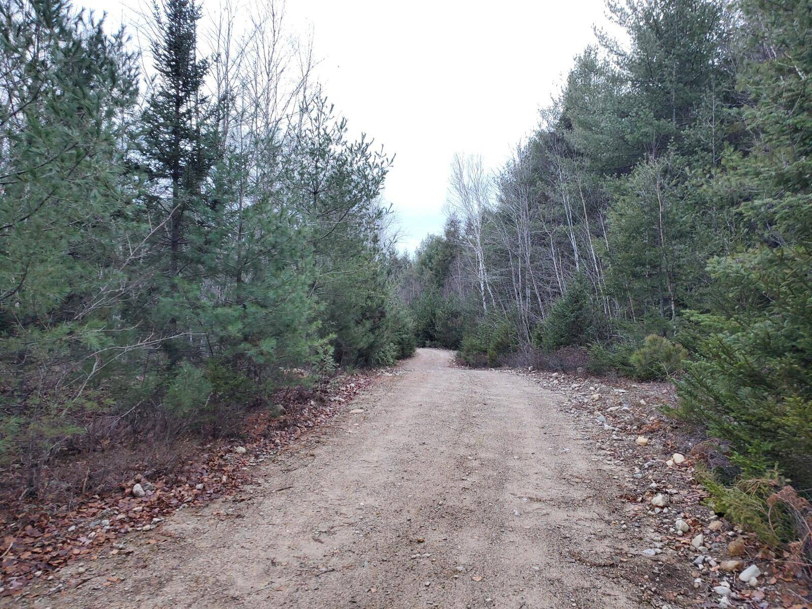 Beddington, ME 04622,L45 Southwest Brook Road