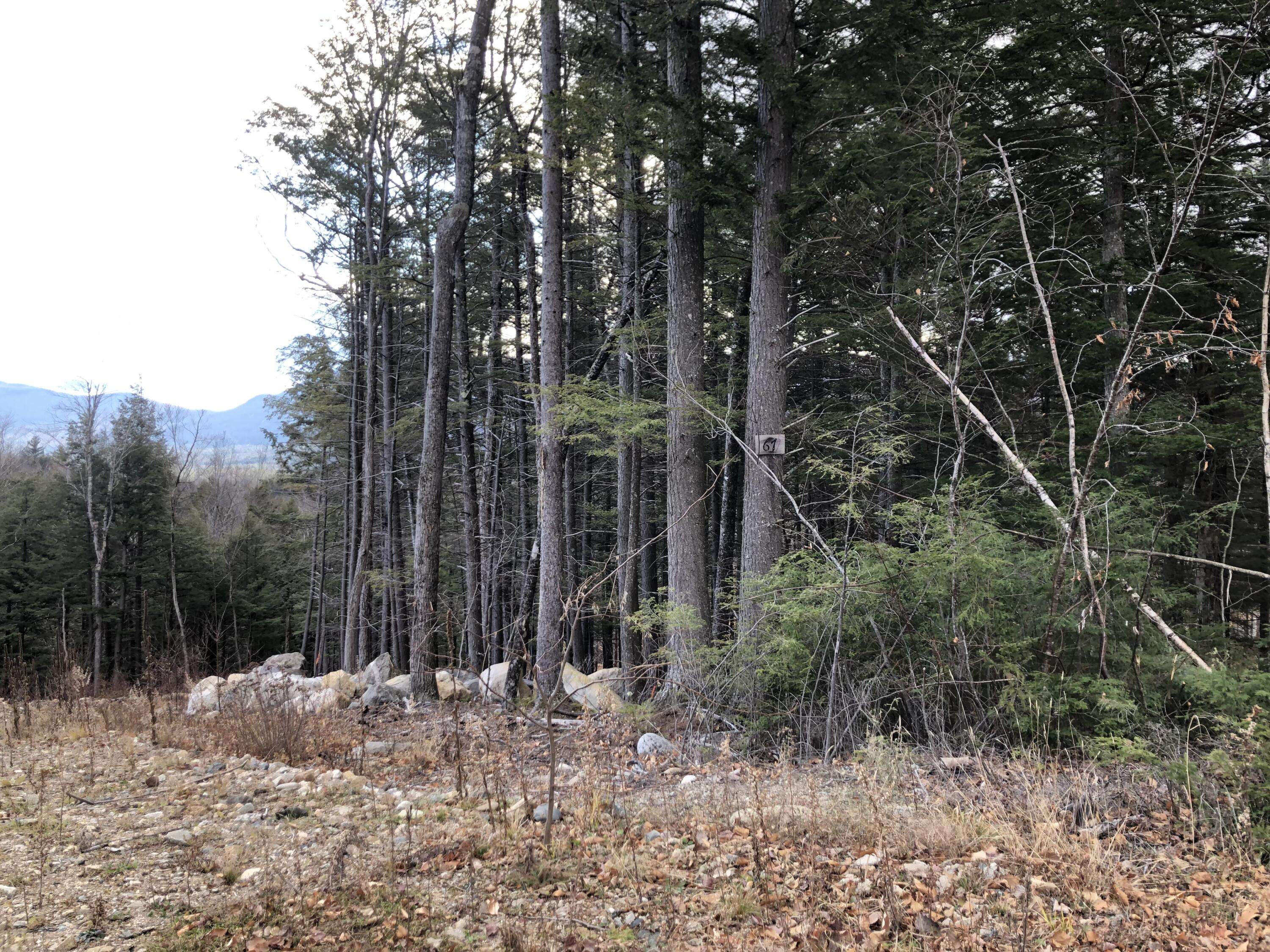 Newry, ME 04261,Lot 67 Snowbird LN