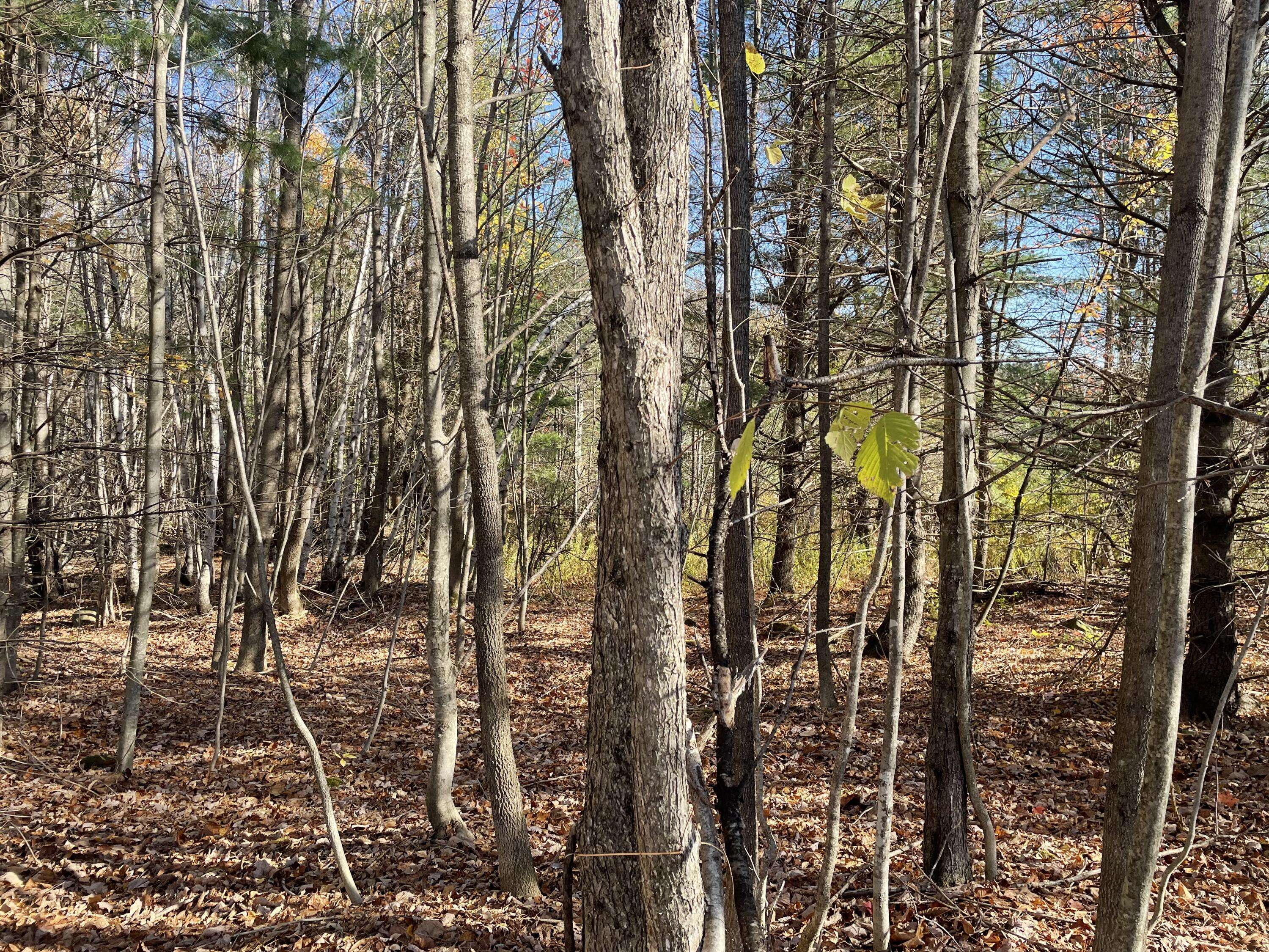 Farmington, ME 04938,MR5 L30-1 Seamon RD