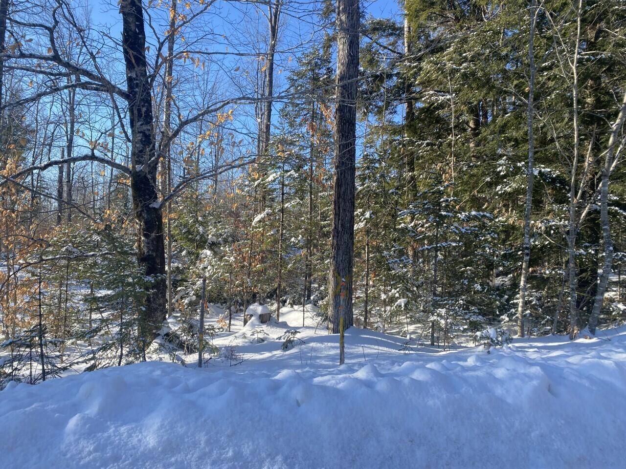 New Portland, ME 04961,Lot 4-3-1 South RD