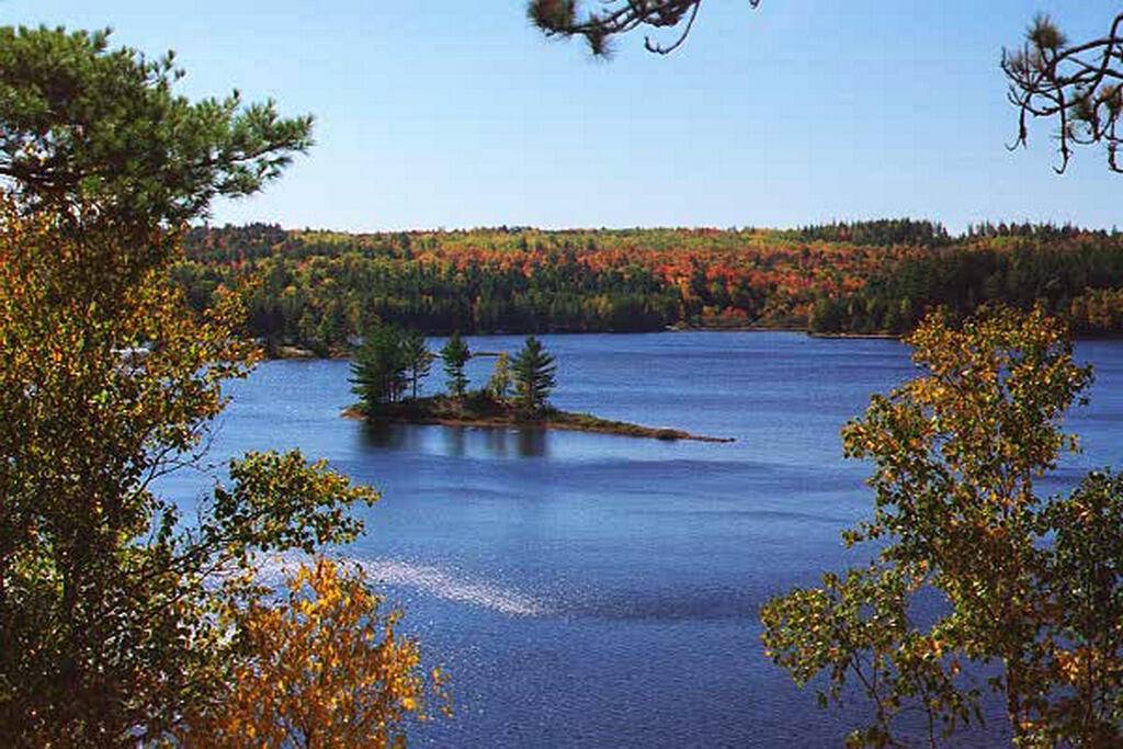 Beddington, ME 04622,117 Eagle Cove LN