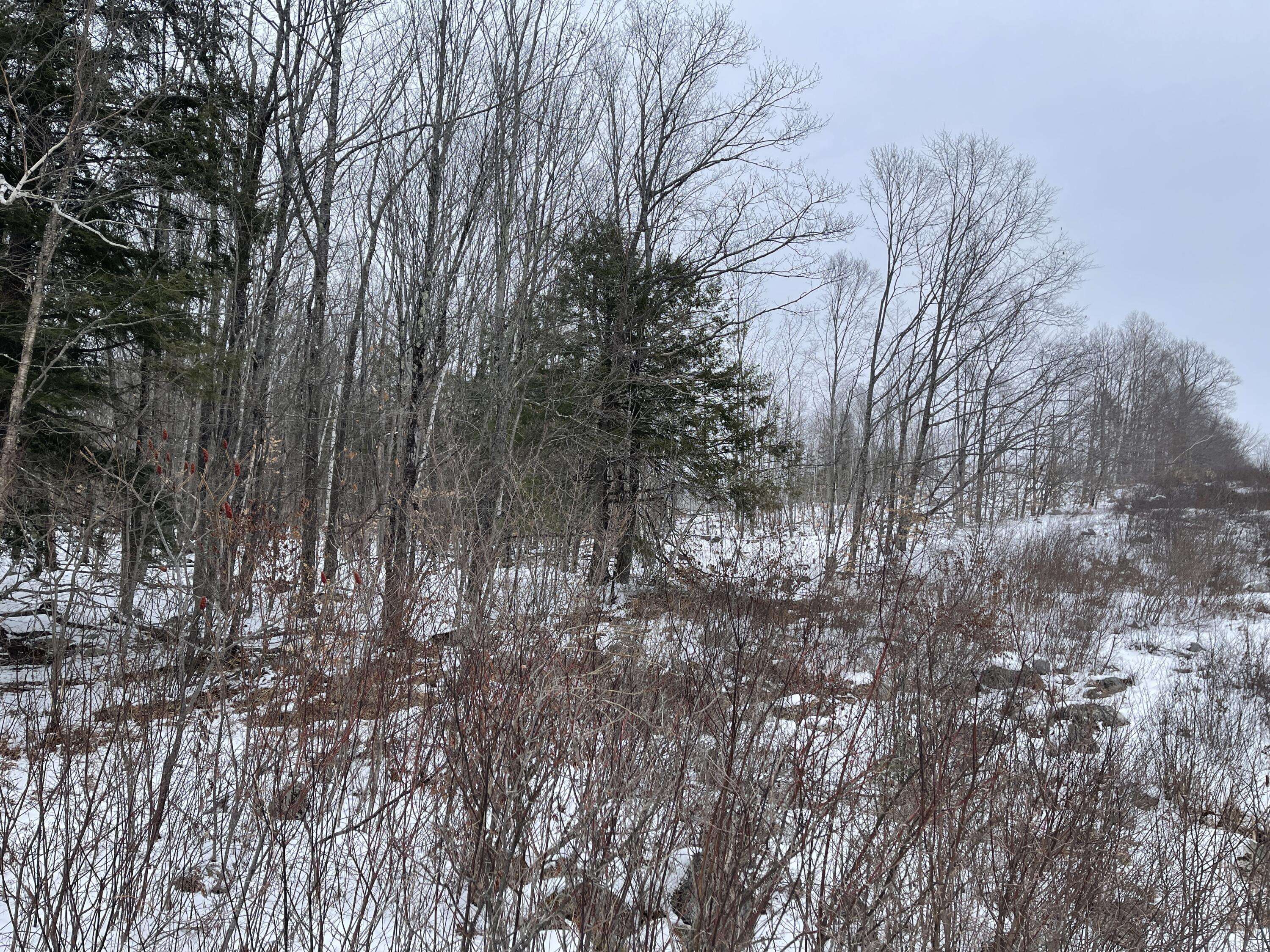 Raymond, ME 04071,TBD Vogel RD