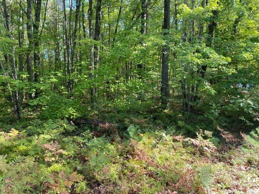 Sebago, ME 04029,0 W Shore RD