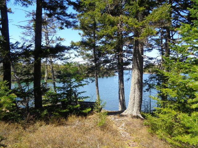 Steuben, ME 04680,10 Lobster Cove LN