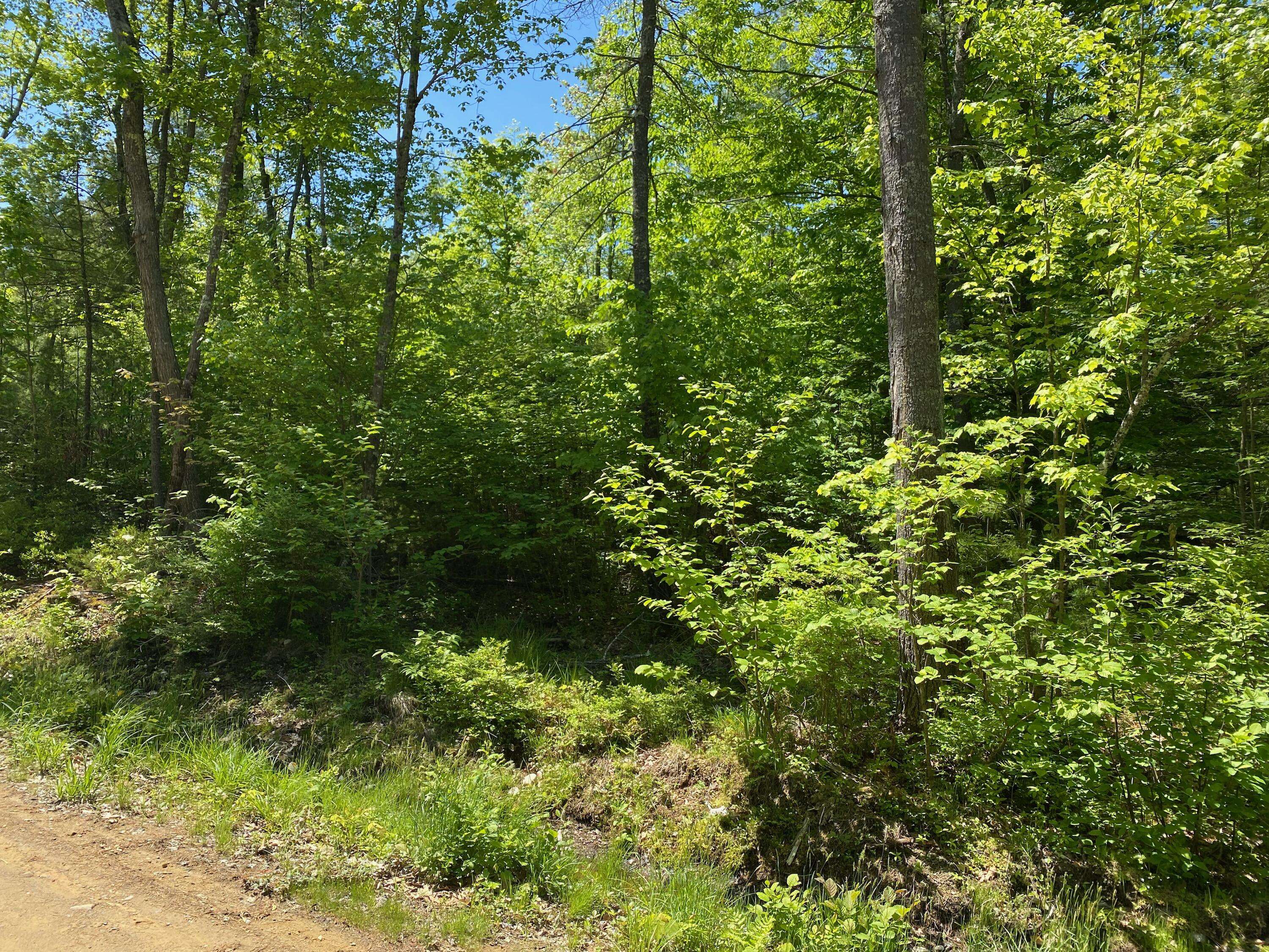 Lebanon, ME 04027,R5-69D Lower Barley ST