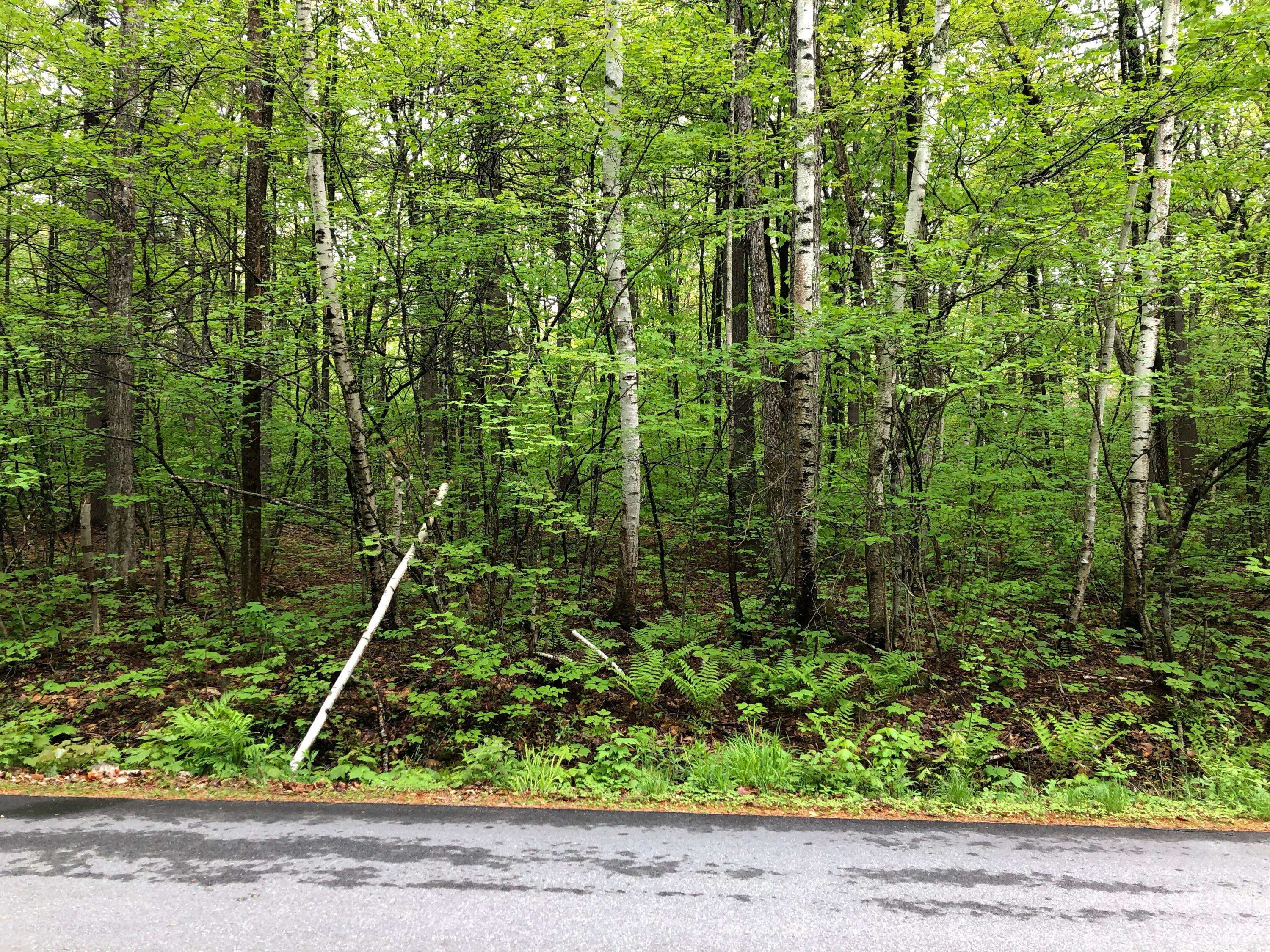 Standish, ME 04084,Lot 6 Perimeter ST