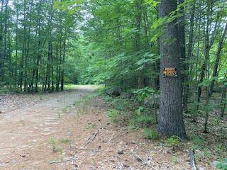 Sebago, ME 04029,331 Folly RD