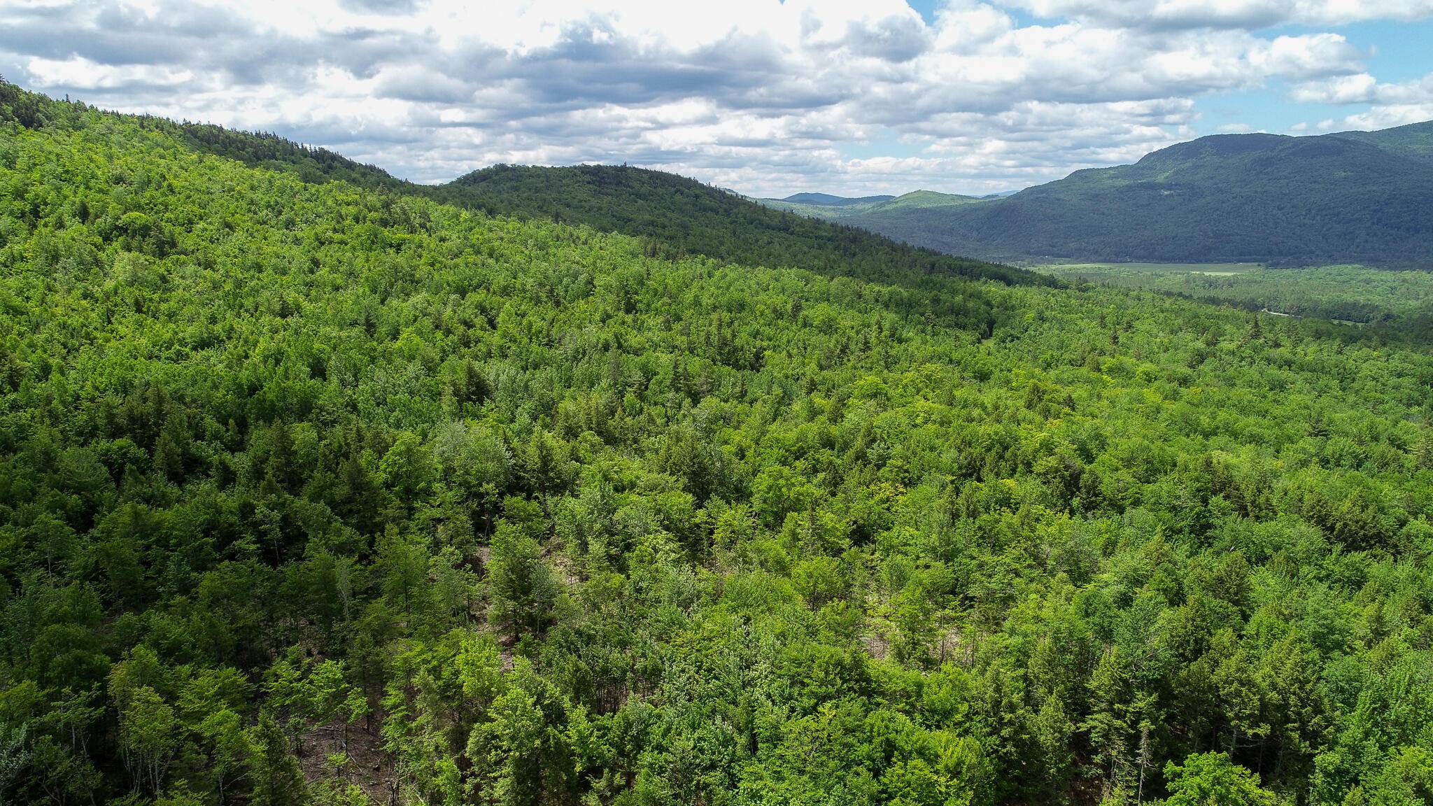 Rumford, ME 04276,Map 402 Lot 8 RD