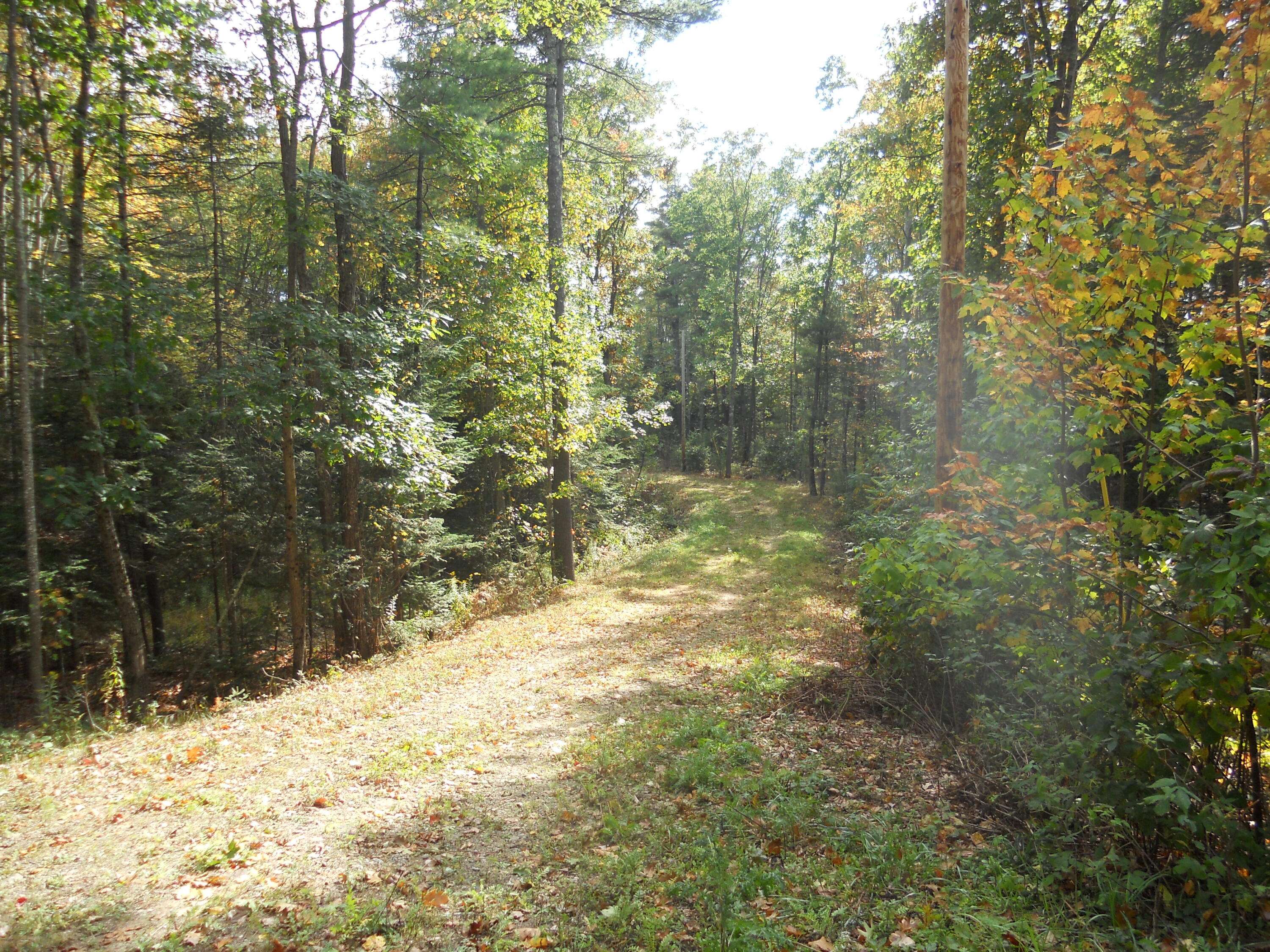 Kennebunkport, ME 04046,0 Kittys RUN