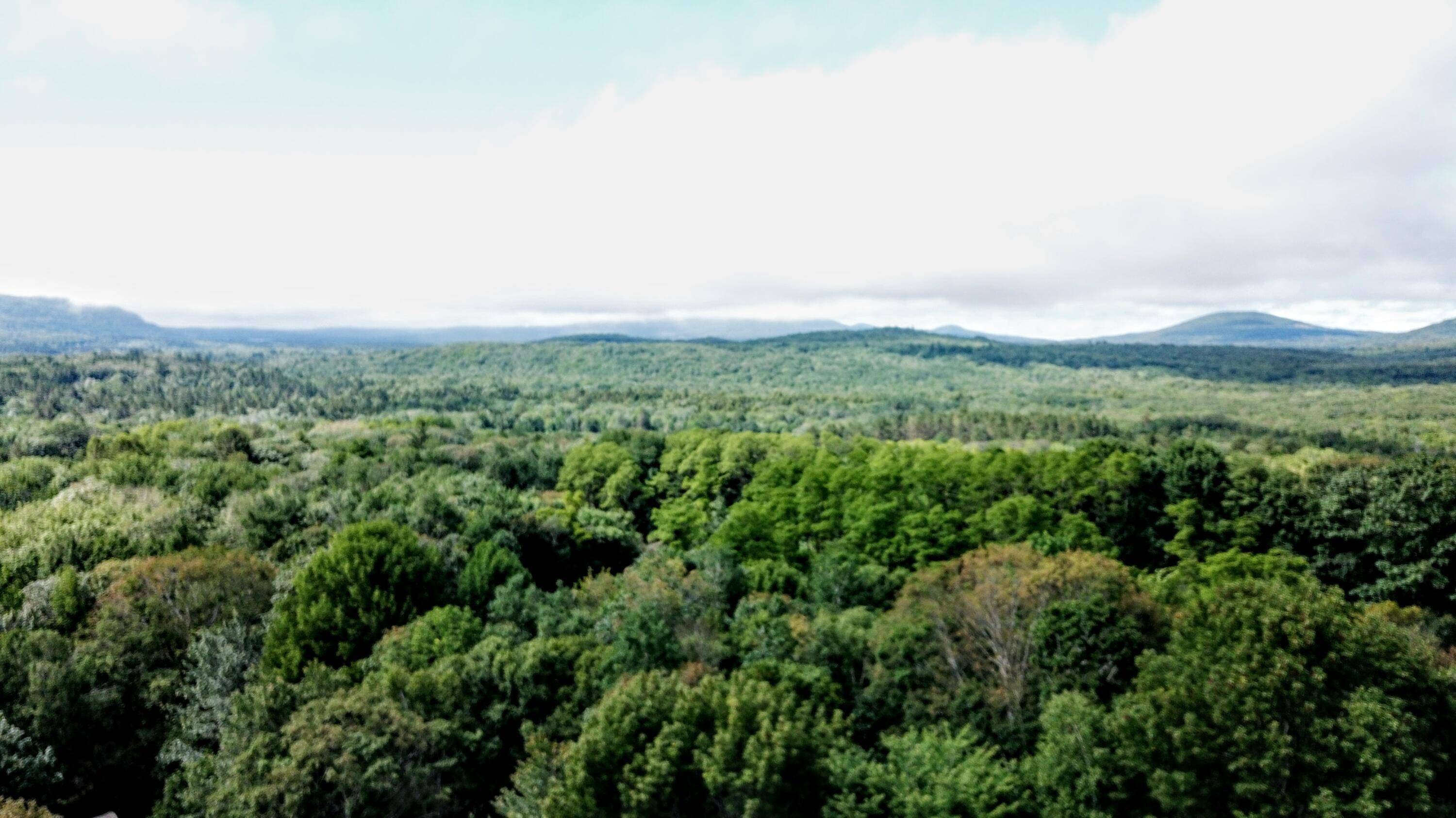 Lincolnville, ME 04849,109 Benson BLVD