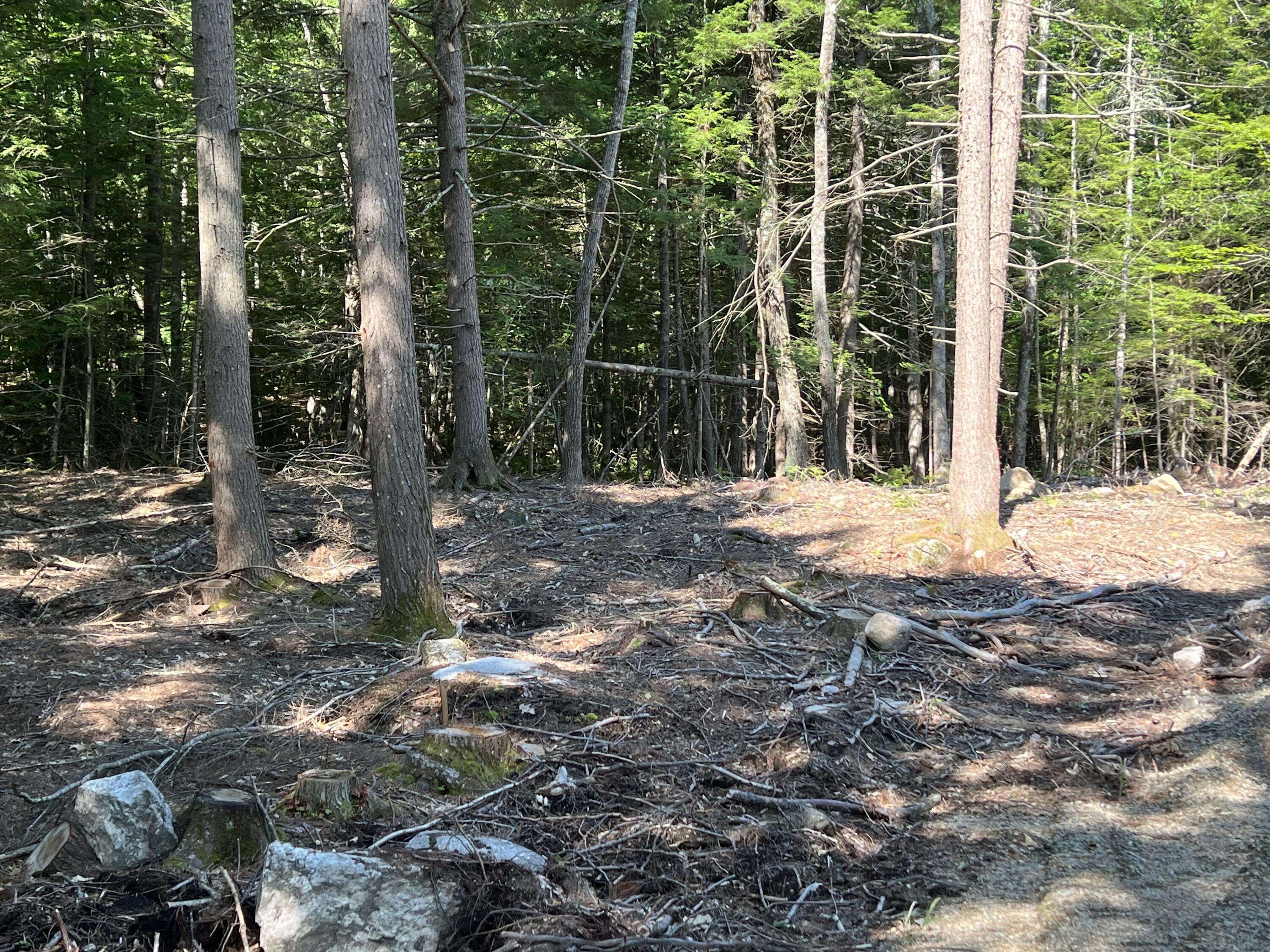 Naples, ME 04055,Lot 12 Shannons WAY