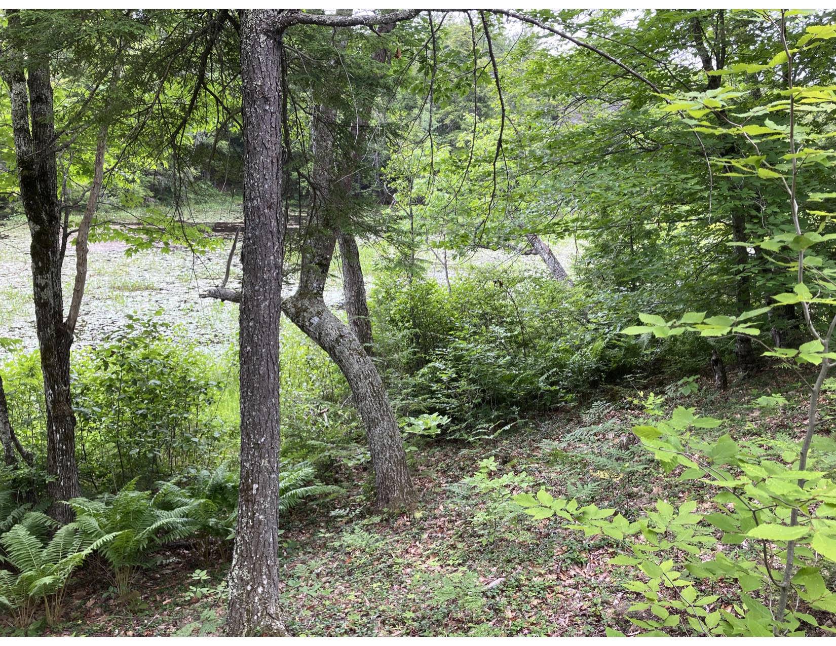 Limington, ME 04049,0 Mildred LN