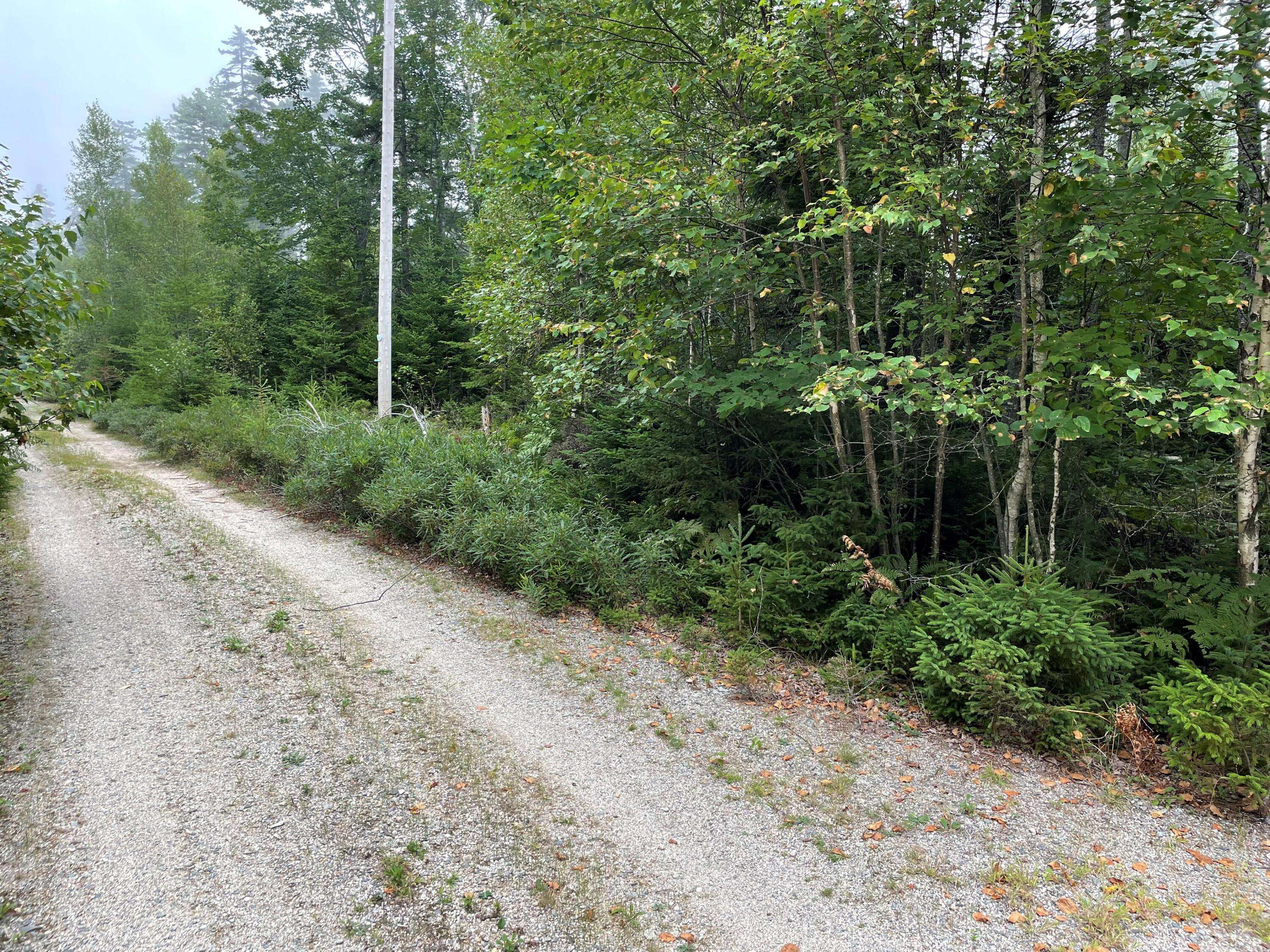 Steuben, ME 04680,0 Pyne Cove RD