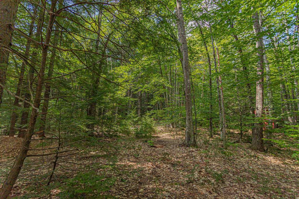 Wilton, ME 04294,240 Pond RD