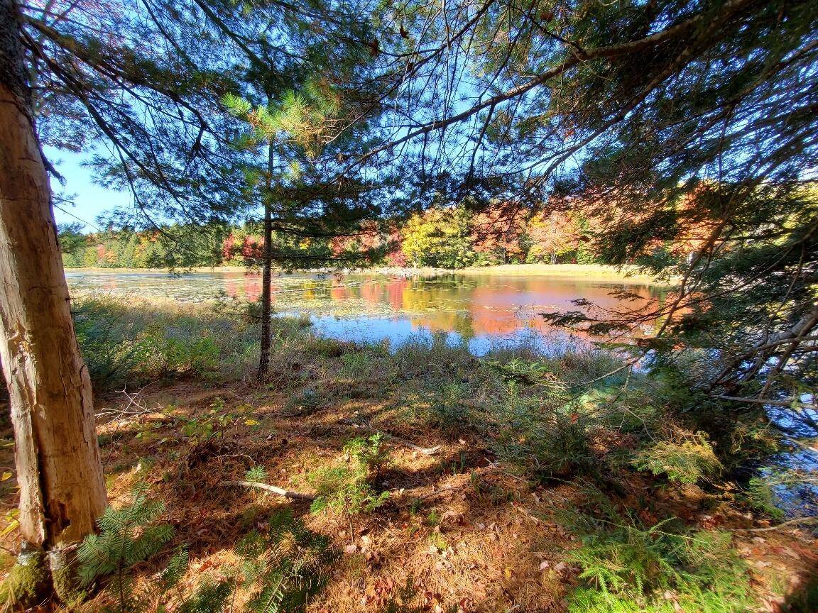Greenlaw Chopping Twp, ME 04668,0 Clifford Lake RD
