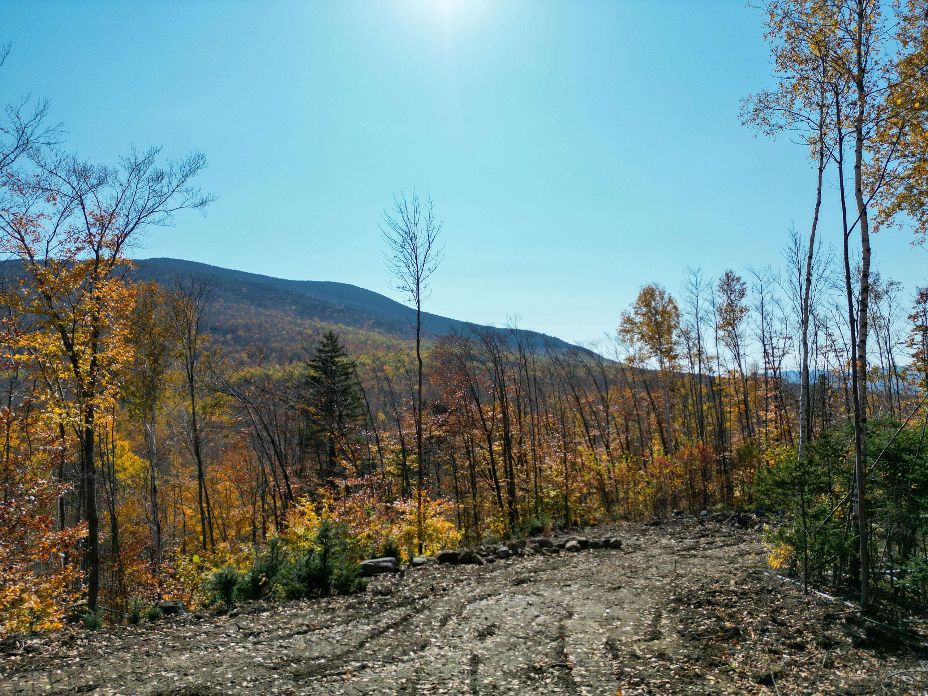 Newry, ME 04261,Lot 14A Skyline DR