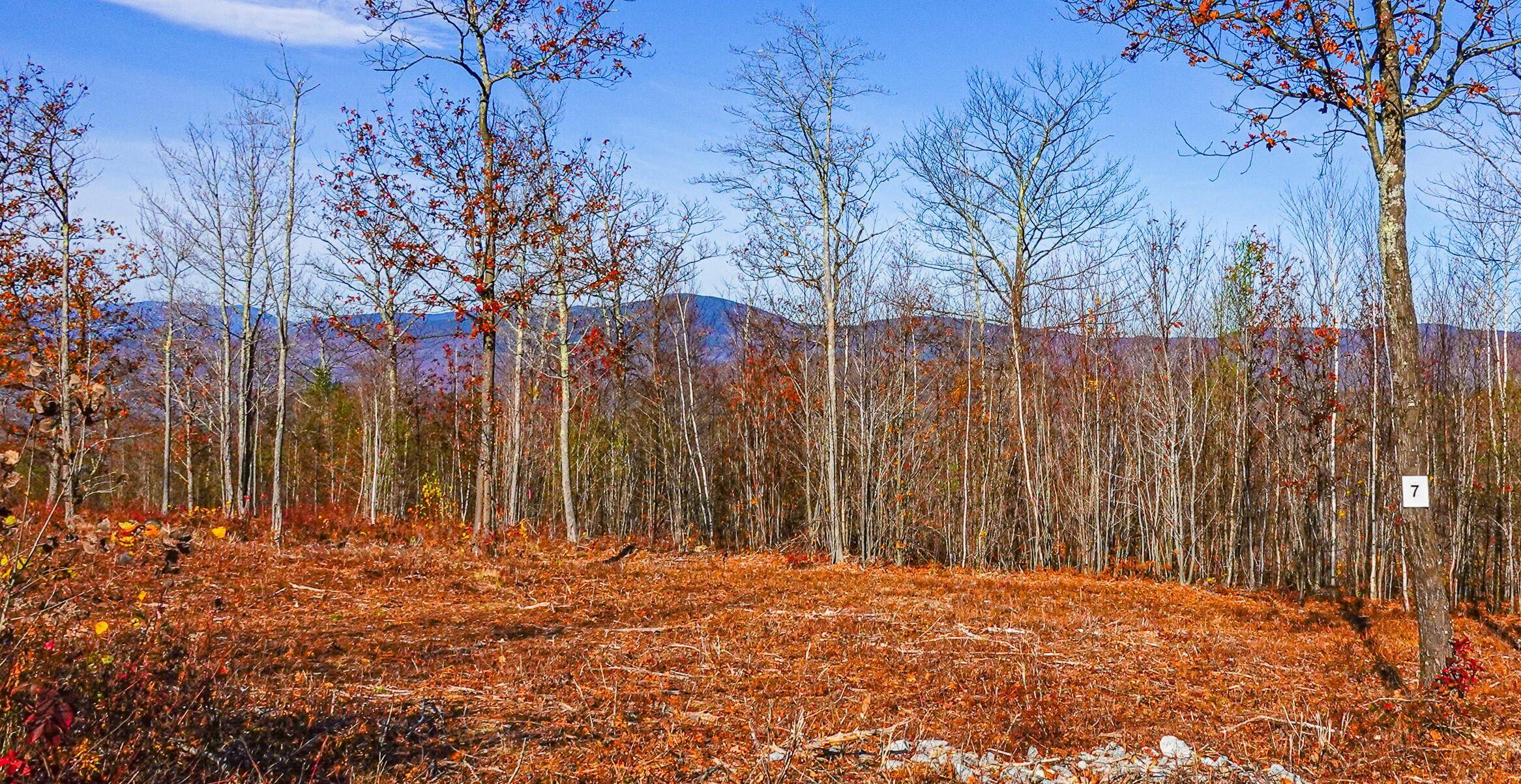 Stoneham, ME 04231,Lot 7 Mine RD